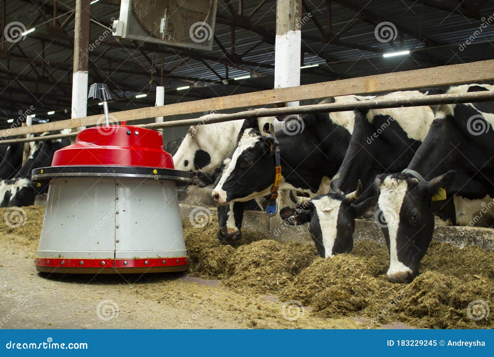 The Robot Farmers are Programmed To Work in the Farm Premises for Animal  Feeding. Automation in Agriculture Stock Image - Image of management,  engineering: 183229245
