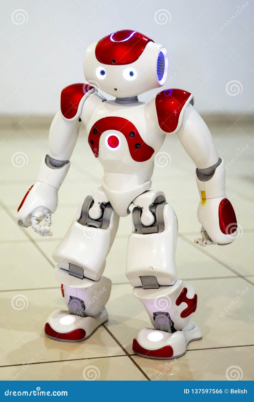 Robot Programmable Pour L'éducation Photo stock - Image du matériel,  machine: 137597566