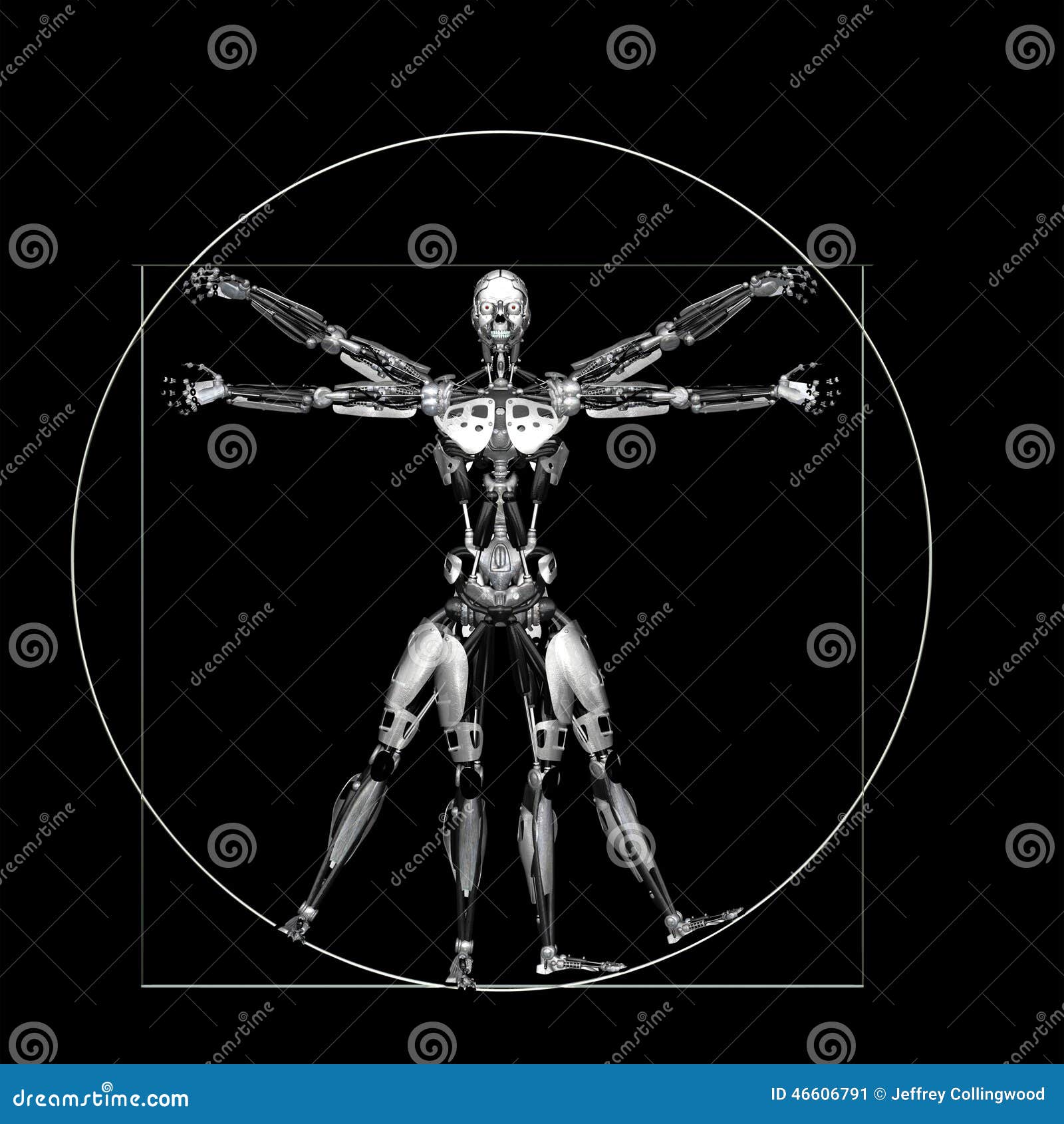 A human skeleton in a Da Vinci Vitruvian man style pose concept Stock  Vector | Adobe Stock