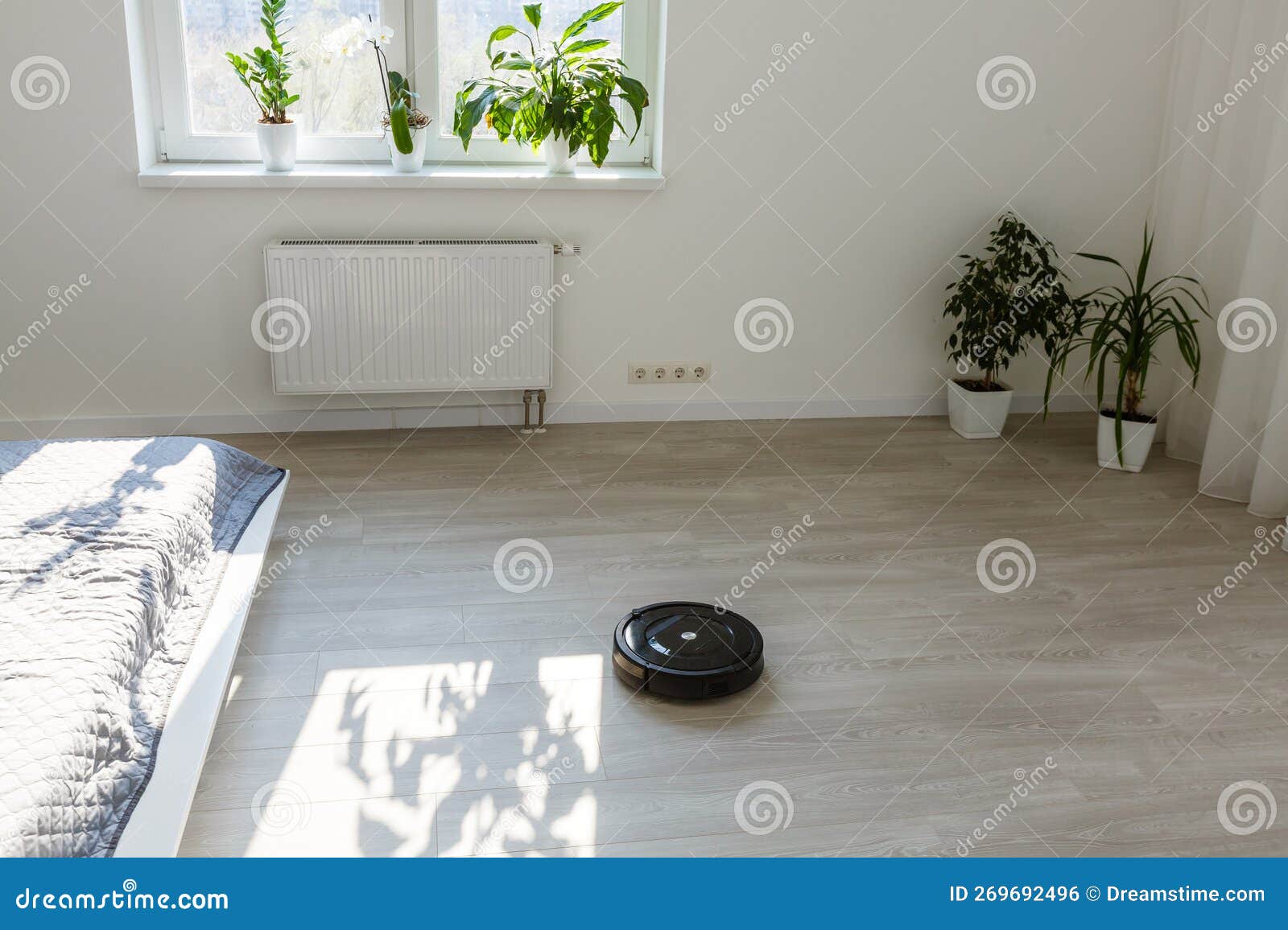 Robotic Vacuum Cleaner Cleaning the Bedroom Stock Photo Image of