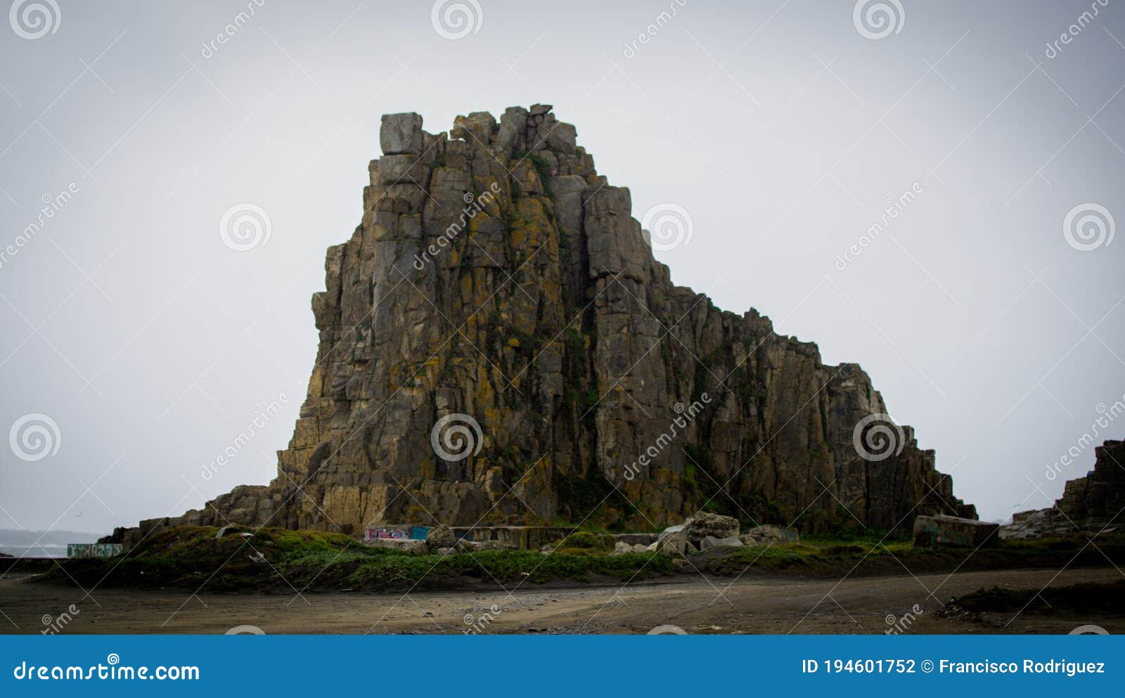 roca del leon en constitucion