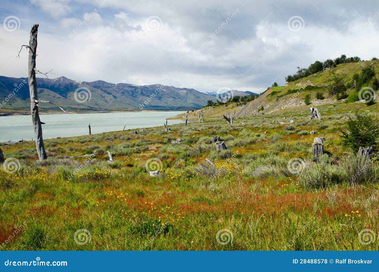 roca lake, the south arm of lago argentina in southern patagoni