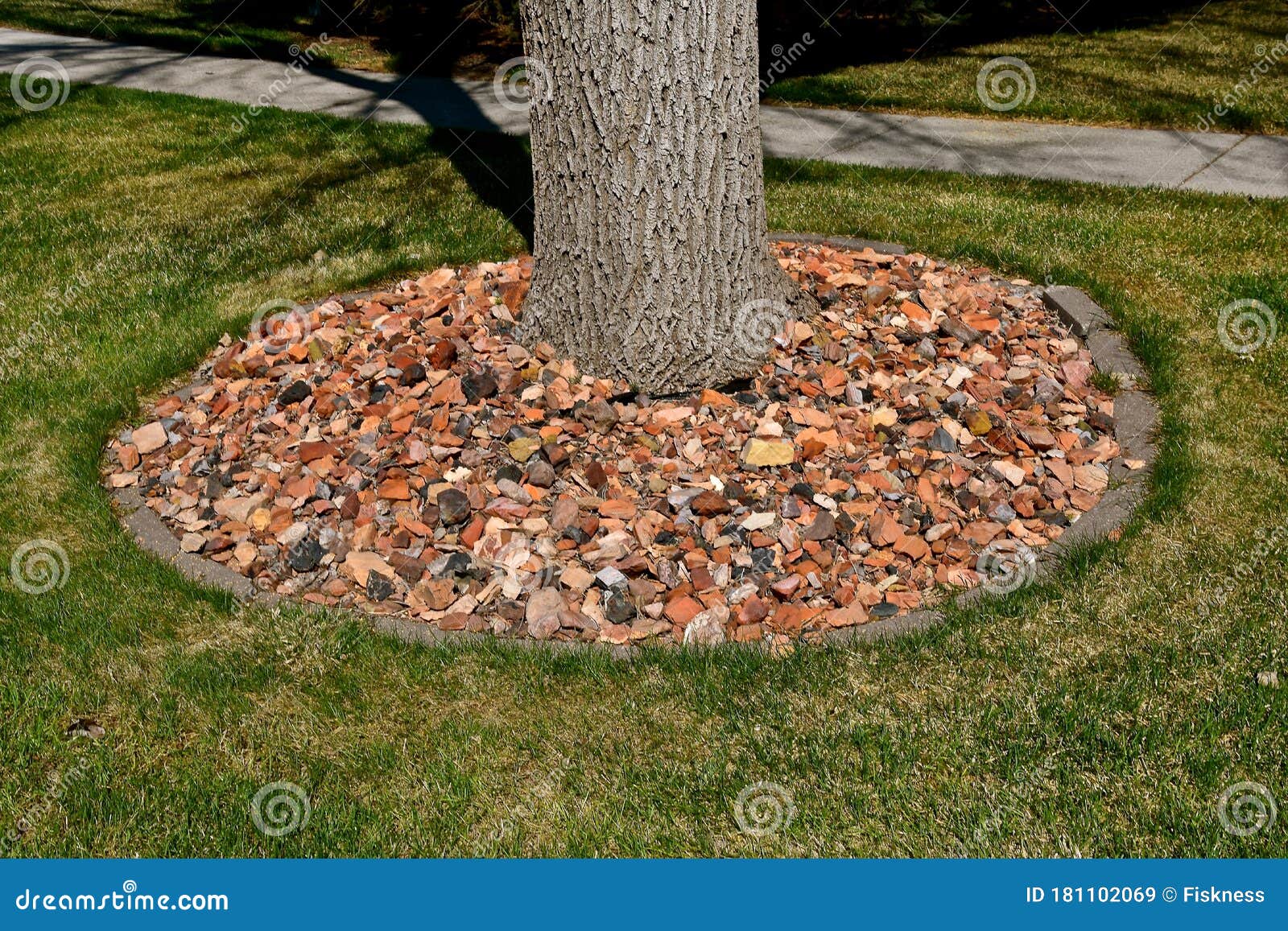 Rocas Y Piedras De Colores Rodean La Base De Un árbol Imagen de archivo -  Imagen de destrozado, hierba: 181102069