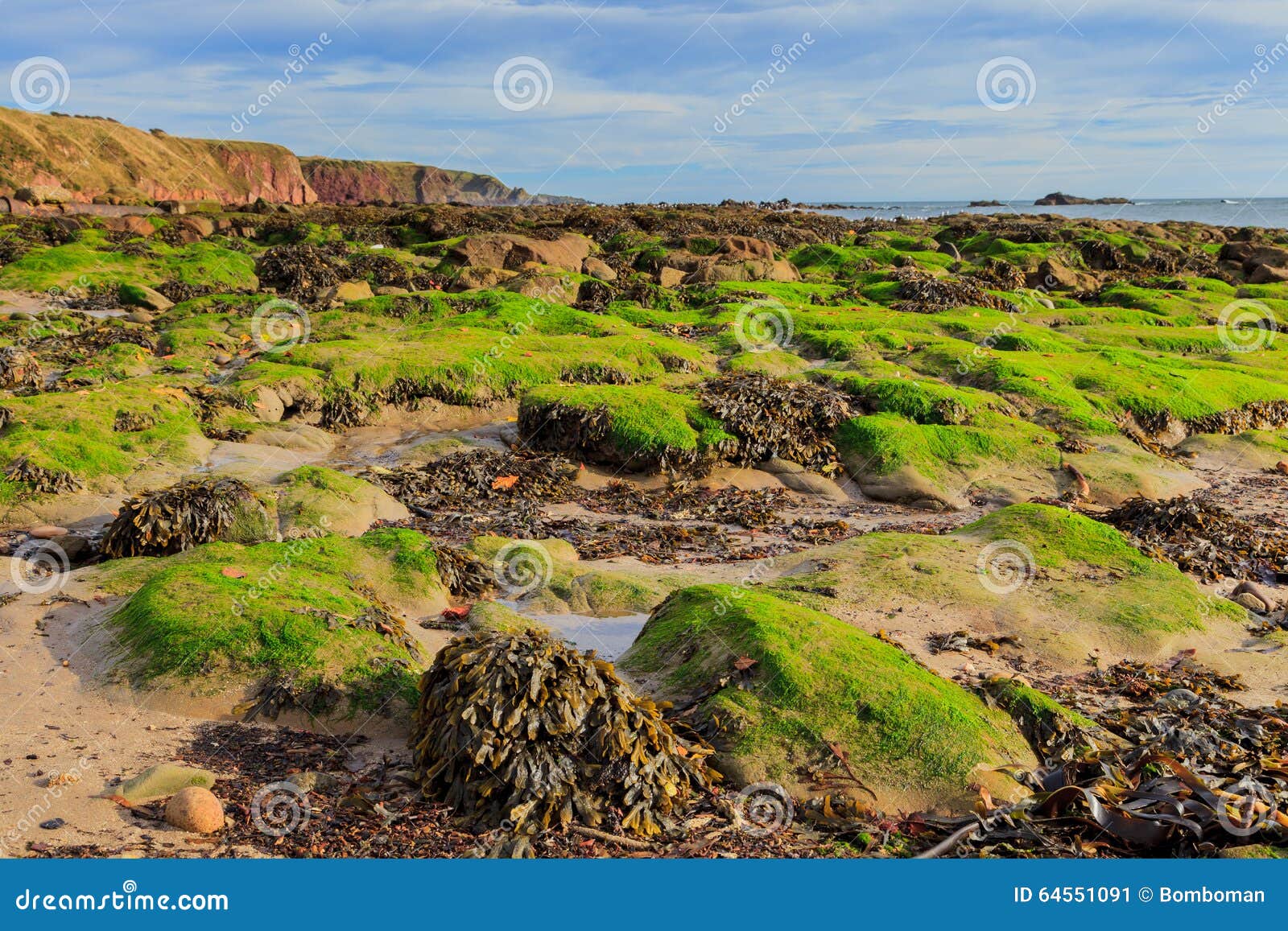 Rocha e praia na baía Aberdeenshire de Stonehaven, Escócia, Reino Unido