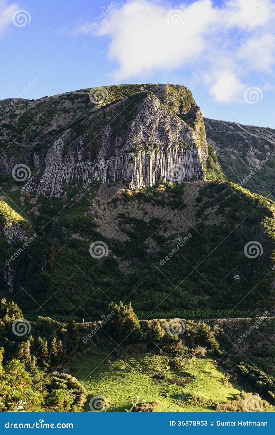 rochas dos bordoes, flores island, azores archipelago (portugal)