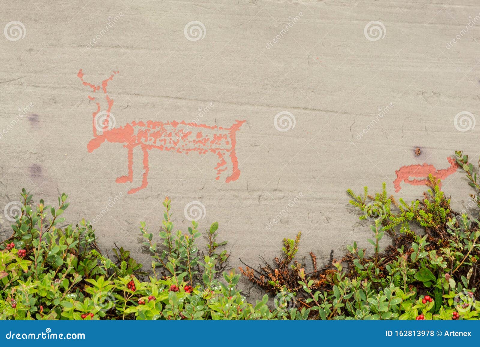 Rock Art in Alta Fjord, Norway. Ancient Symbols, Real Drawing, Texture in  Stone. Red Ocher Paint. Human Preys on Animals Deer Stock Photo - Image of  deer, ancient: 162813978