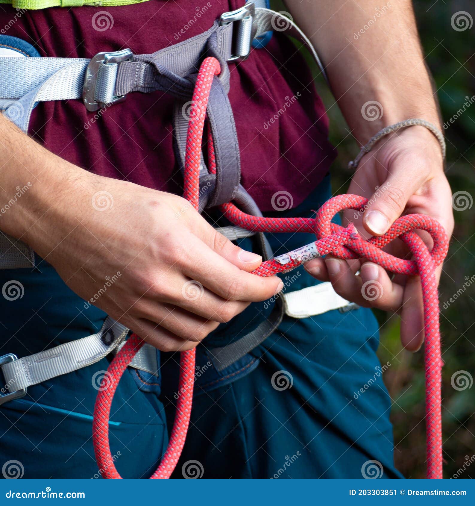 Rock Climber Wearing Safety Harness with Rope with Climbing Eight Knot  Stock Image - Image of climbing, hiking: 203303851
