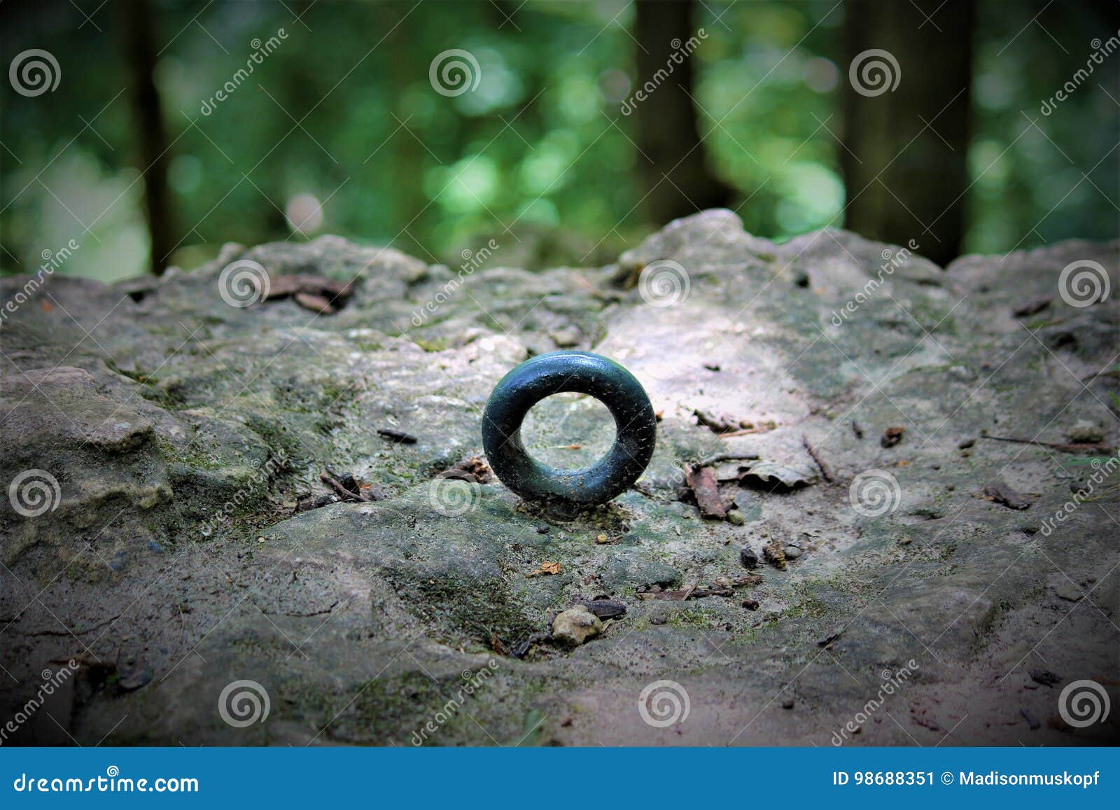 Rock Climbing Hook stock image. Image of preserve, tree 98688351