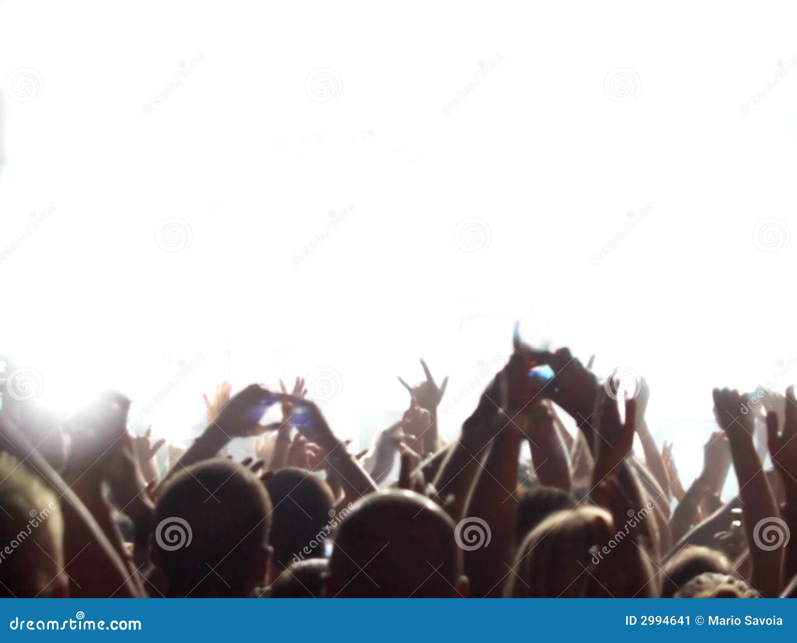 rock concert audience
