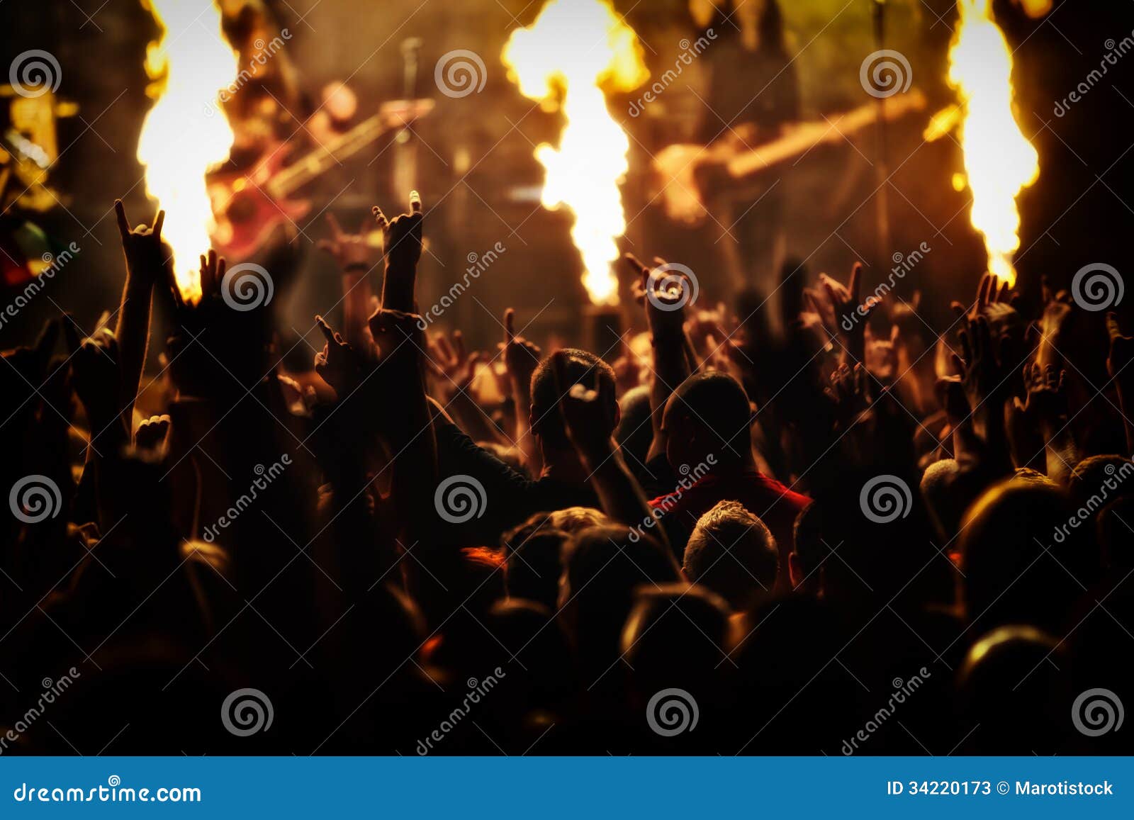 rock concert, music festival