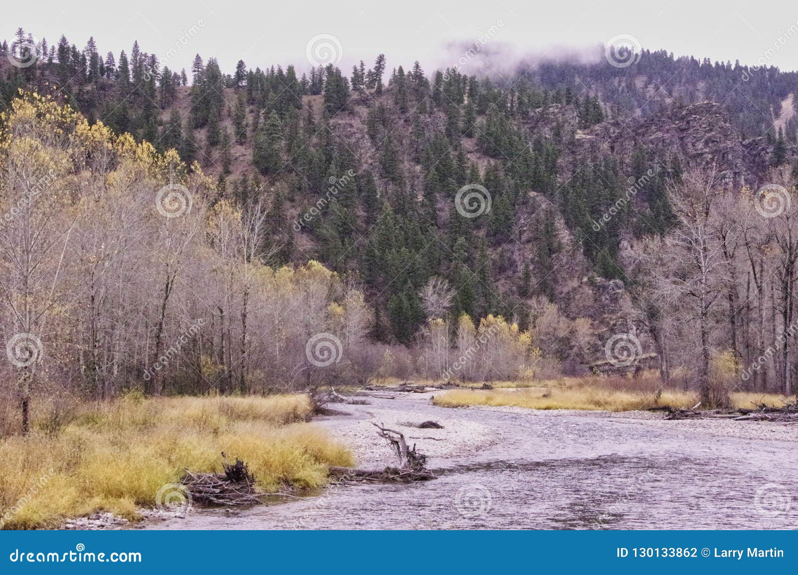 Rock Creek, Montana, Columbia River Drainage Stock Photo Image of
