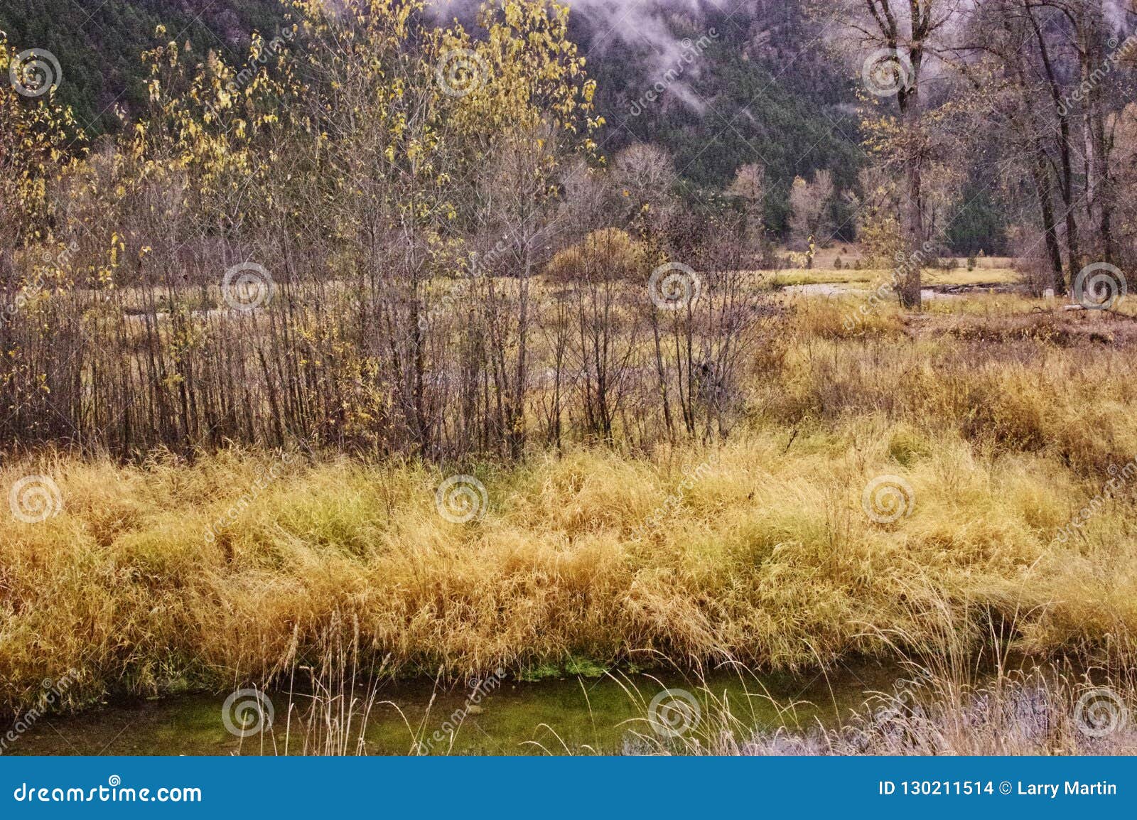 Rock Creek, Montana, Columbia River Drainage Stock Photo Image of