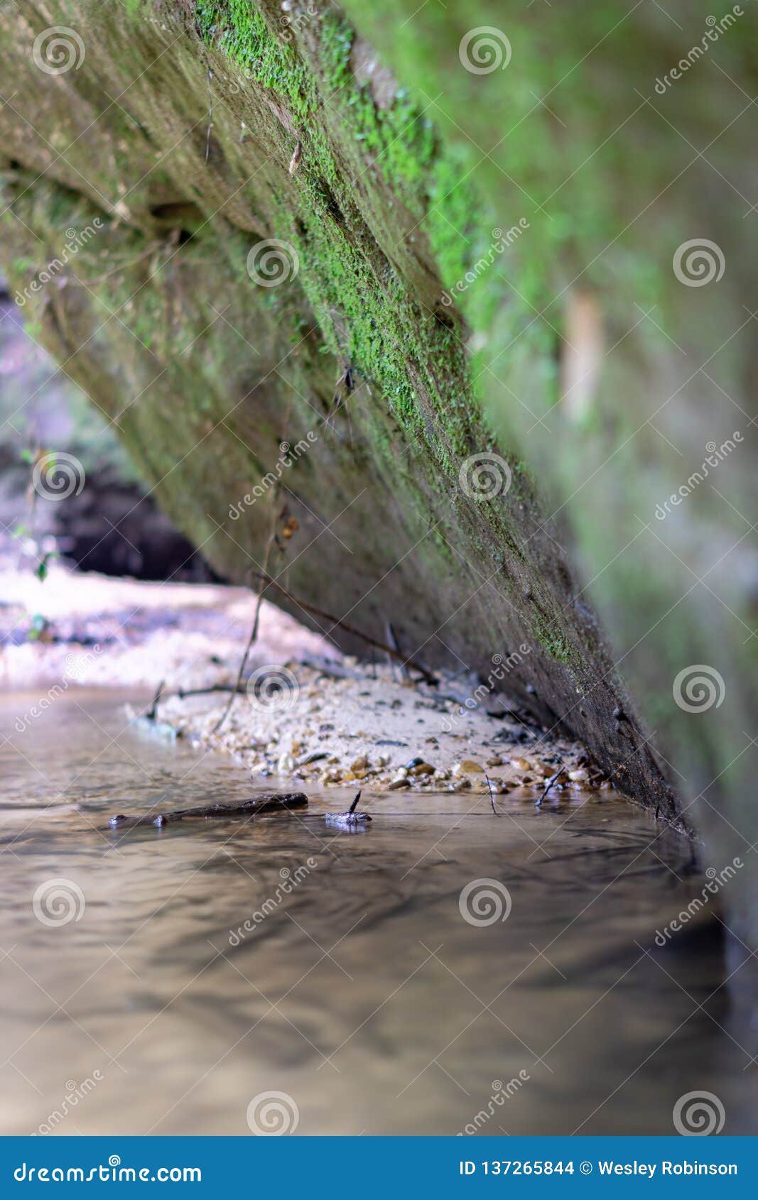 rock by creek