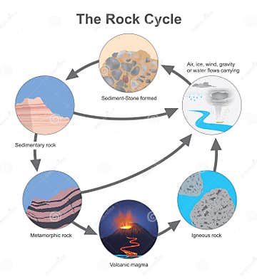 The Rock Cycle, Diagram Types of a Stone. Stock Vector - Illustration ...