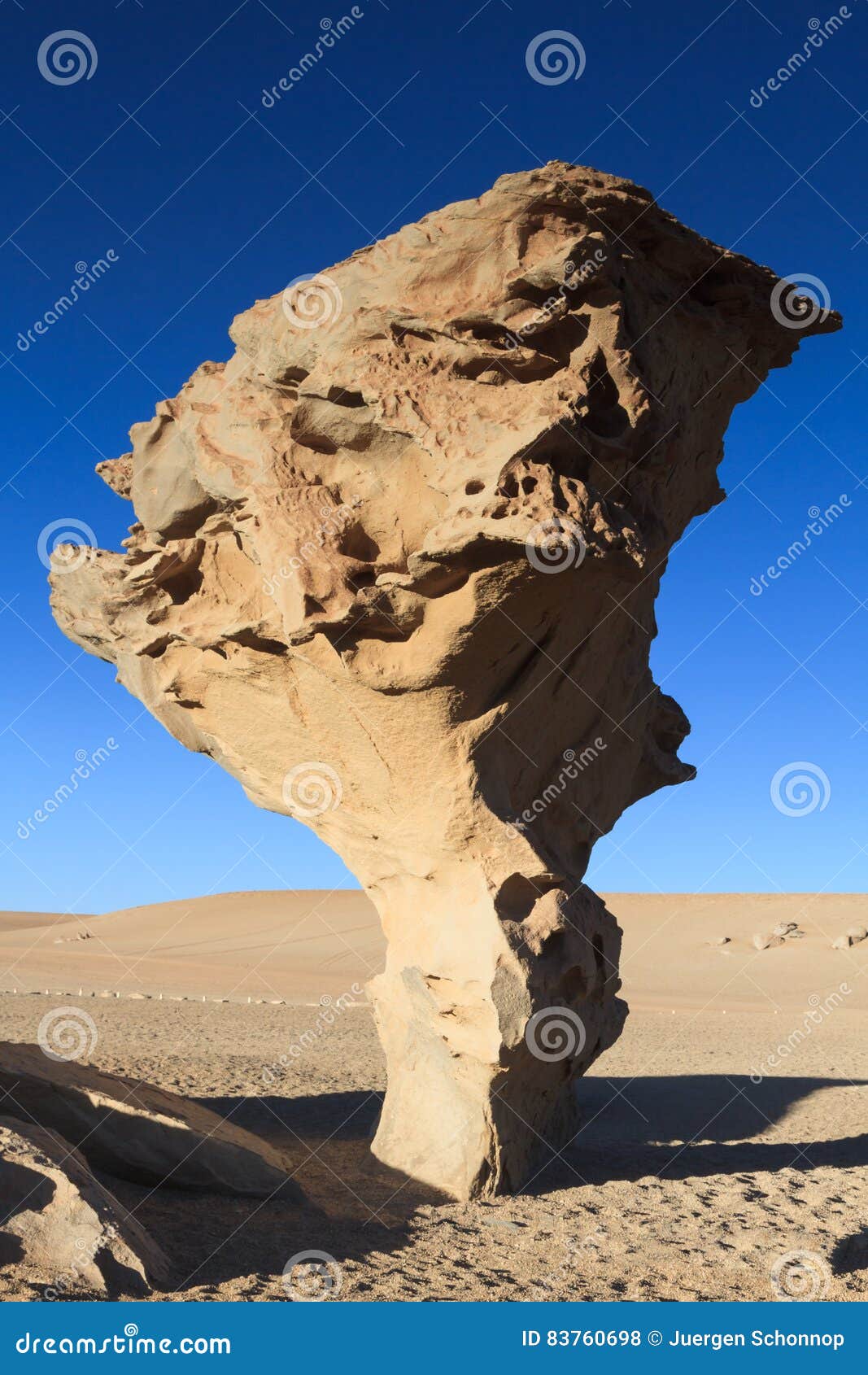 rock formation arbol de piedra