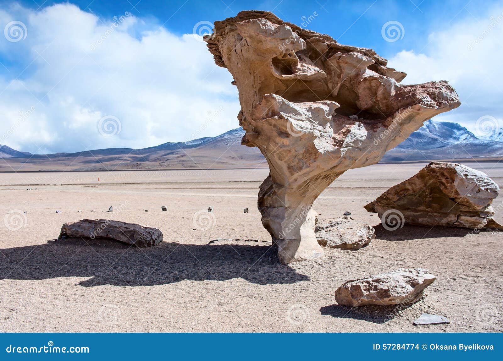 rock formation (arbol de piedra) in bolivia