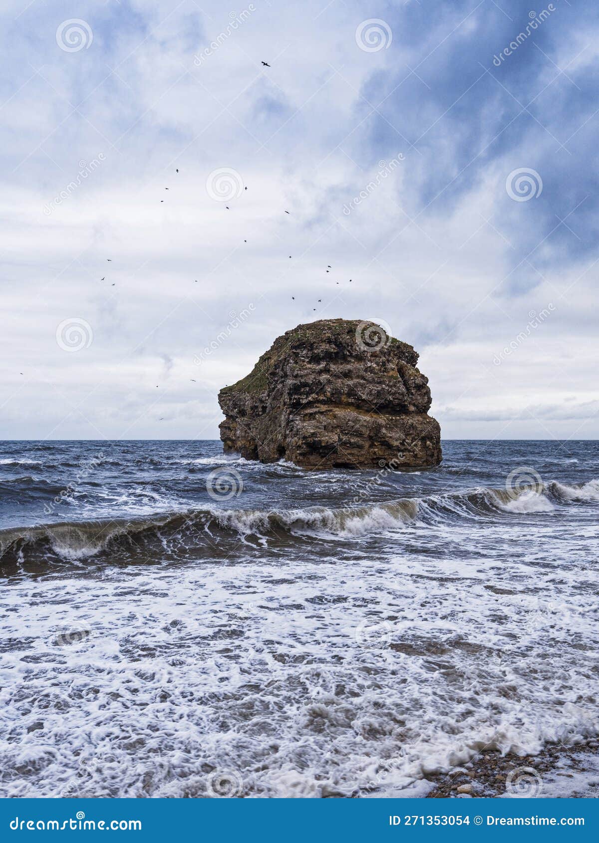 rock formation at marsden, south shields, tyne and wear, uk with copy space and circling birds which colonise the rock