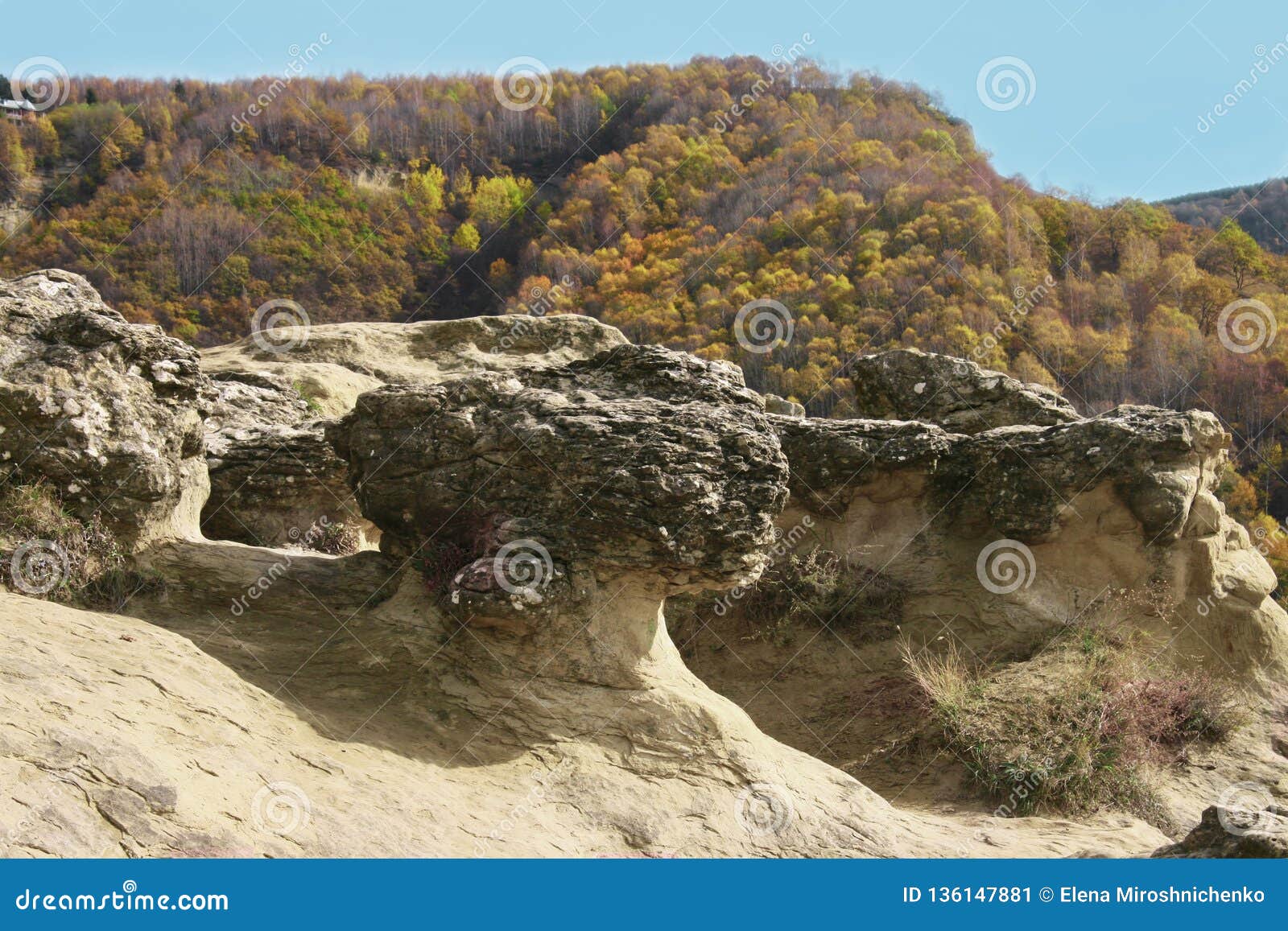 rock formations, mountains in caucas, russia with autumn forest view. georgeous landscape with cliff and forest. multicolored yel