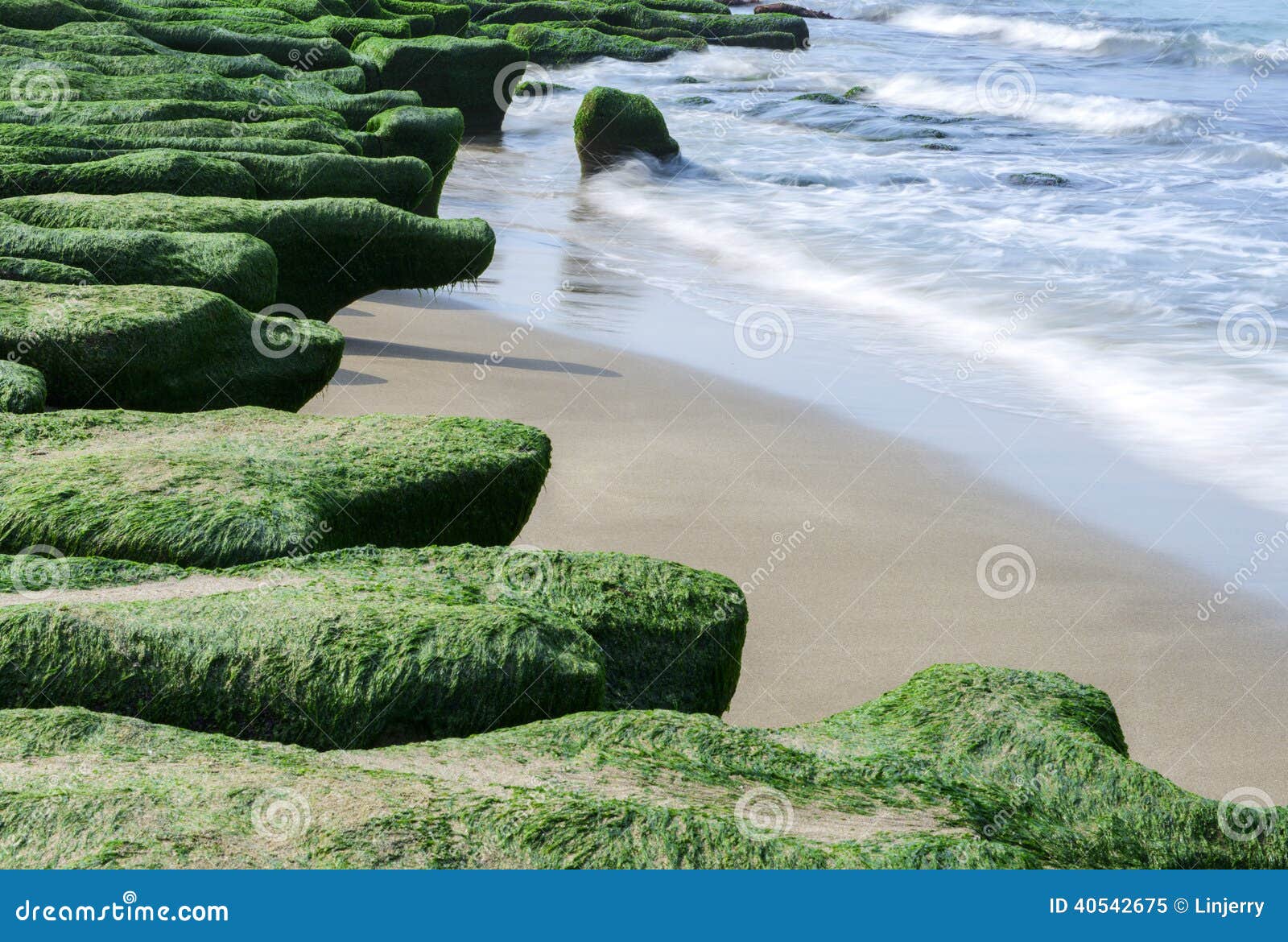 Rock full of green seaweed stock image. Image of asia 40542675