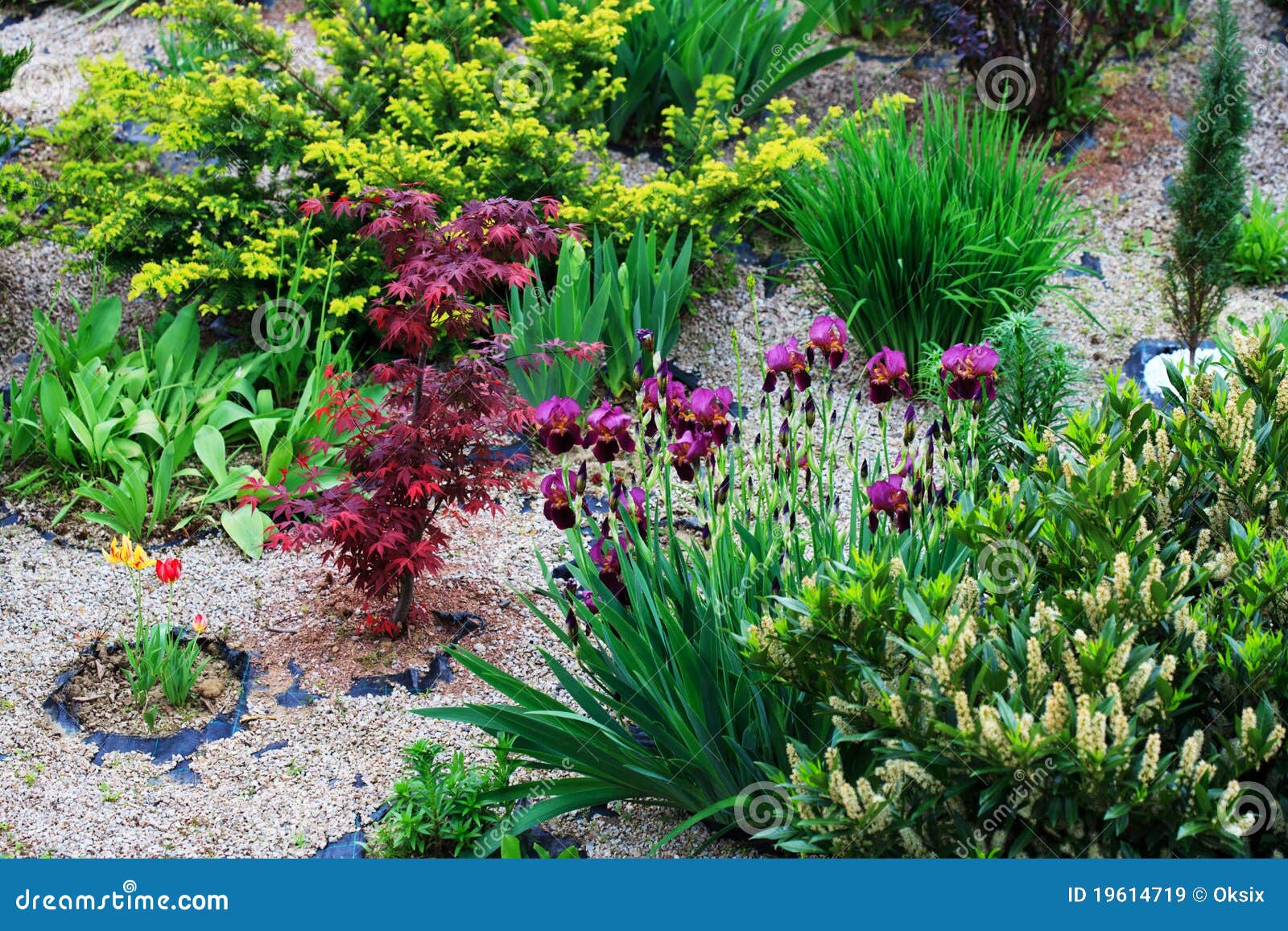 Rock garden stock image. Image of dwelling, luxury, flowerbed - 19614719