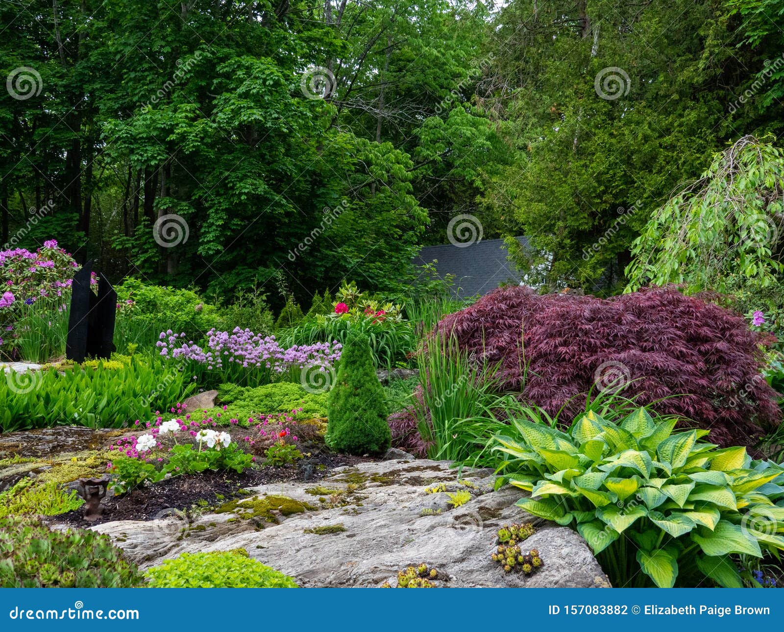 Rock Garden In Coastal Maine Stock Photo Image Of Variety