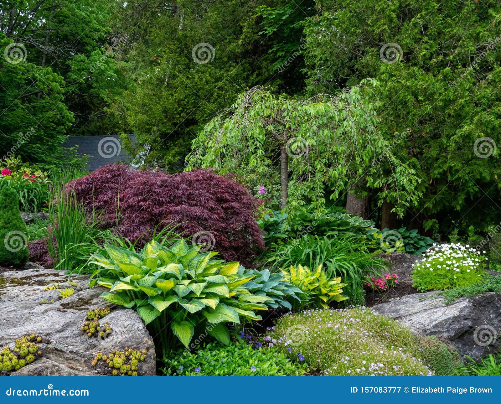 Rock Garden In Coastal Maine Stock Image Image Of Coastal Rock