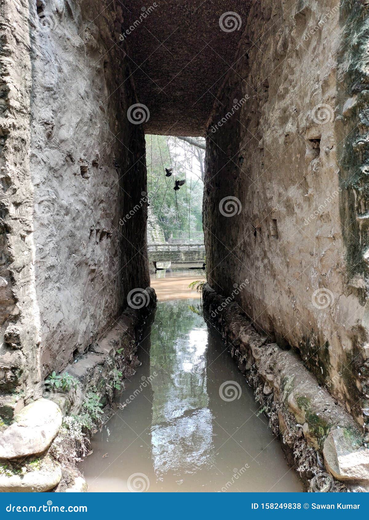 Rock Garden Seen Stock Photo Image Of Landscaping Gray 158249838