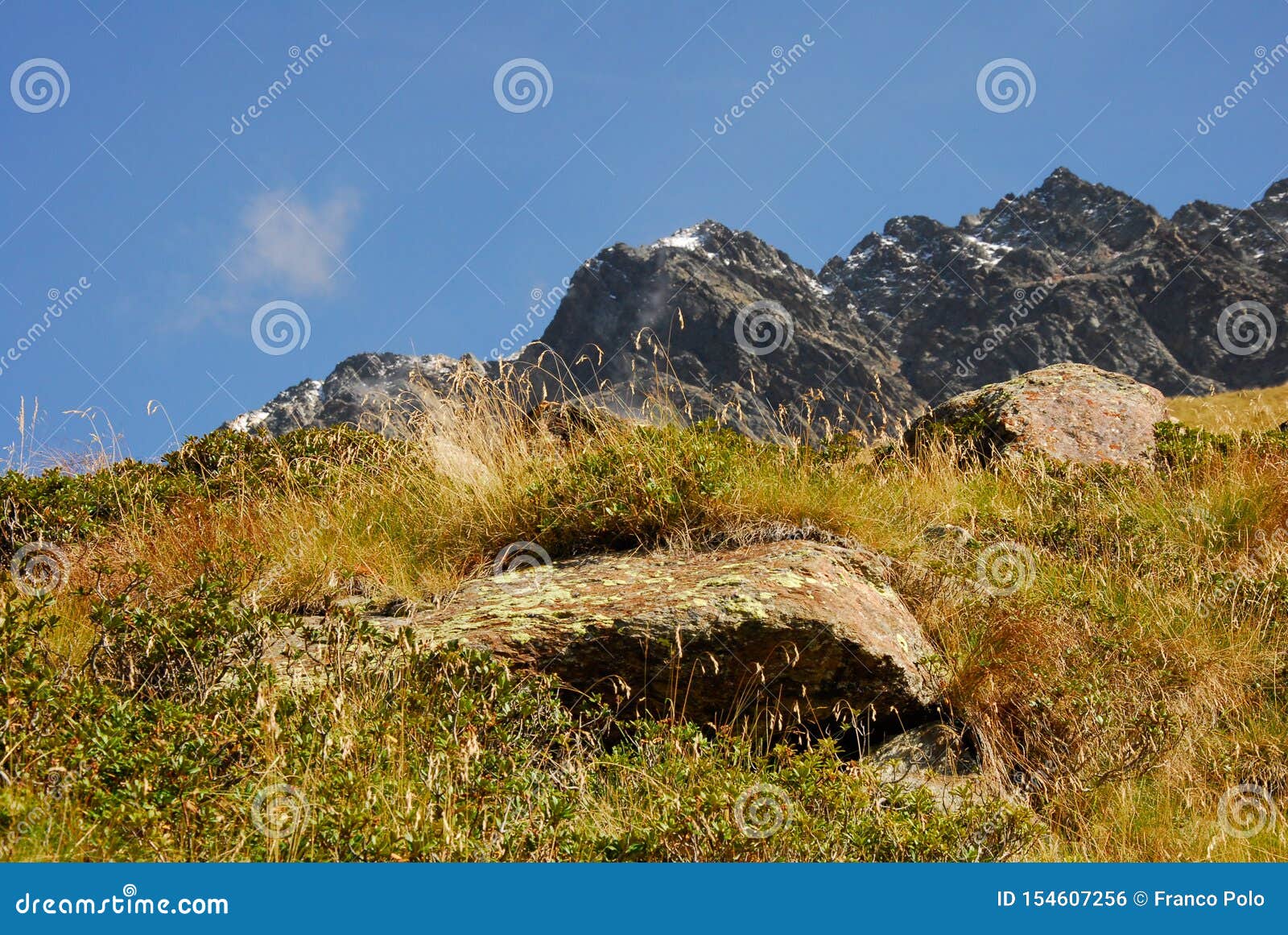 Rock in the Grass in Front of Beautiful Mountains Stock Photo Image