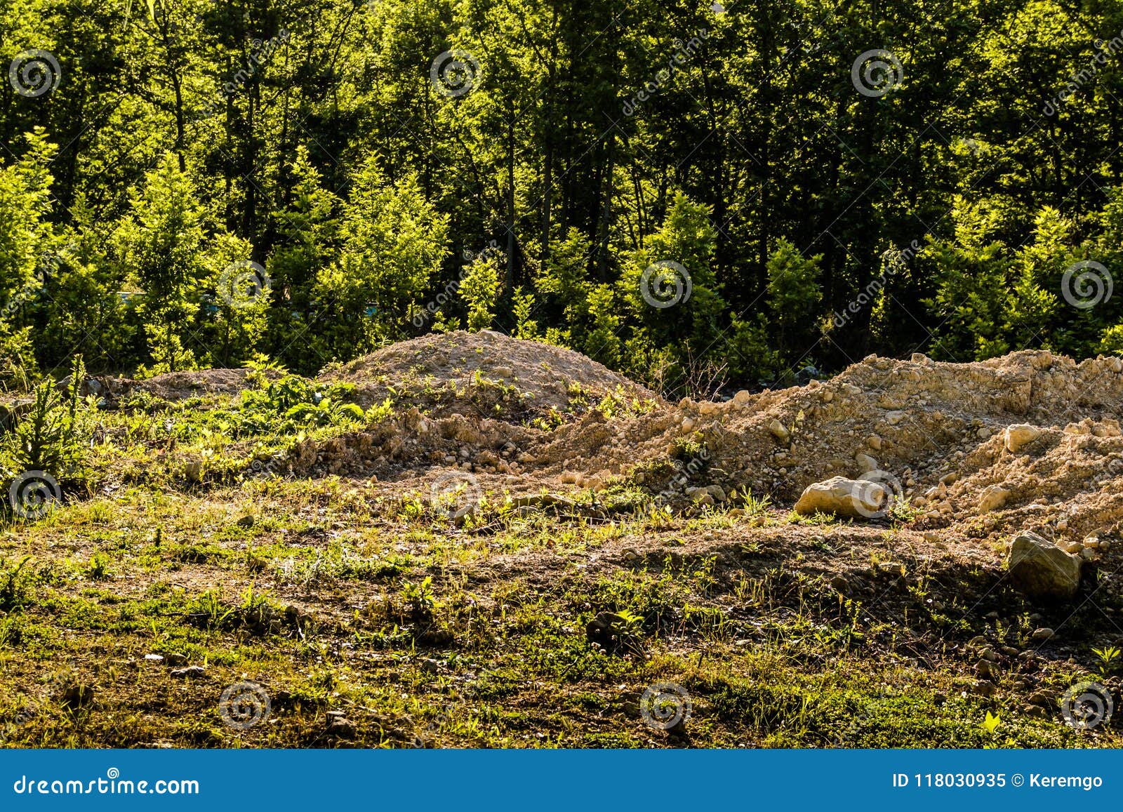 rock ground forest in marmara region - turkey