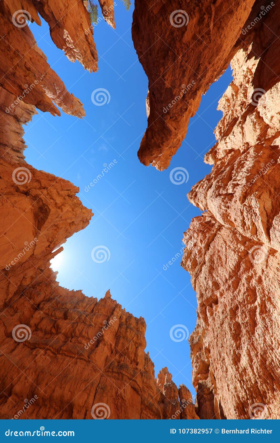 rock hoodoos in bryce canyon national park in utah