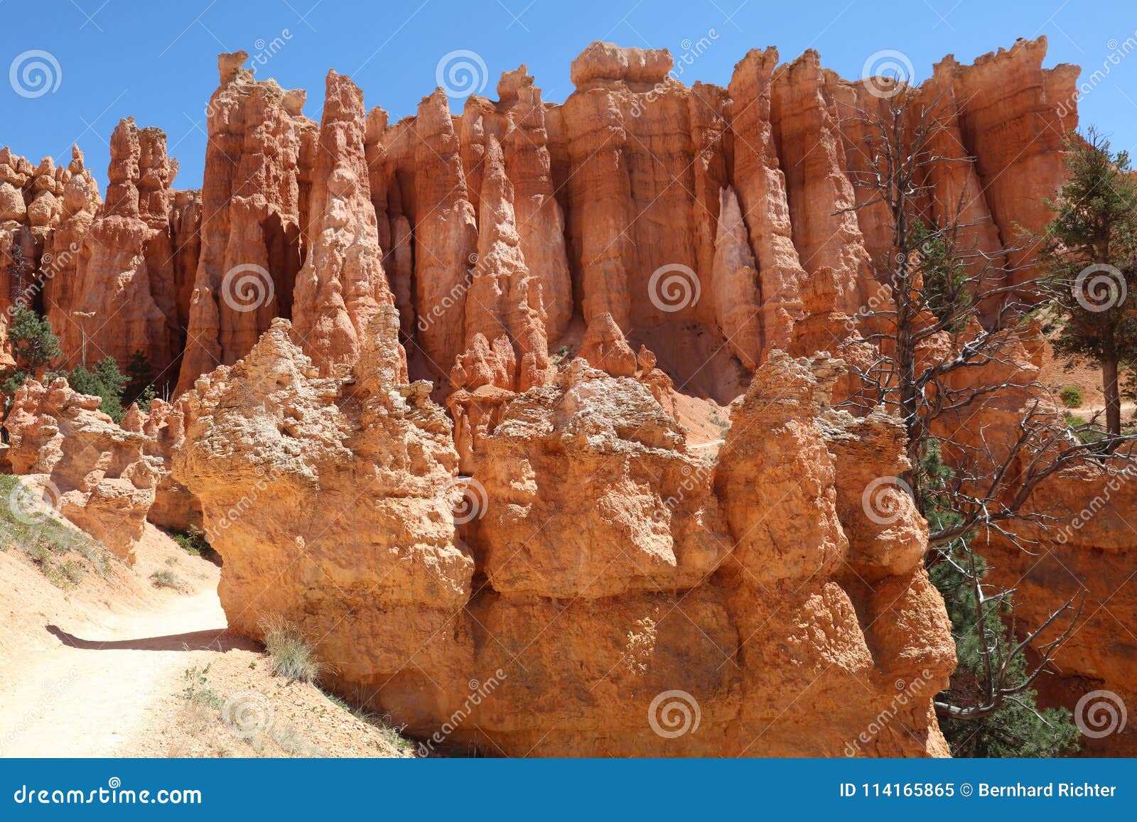 rock hoodoos in bryce canyon national park in utah