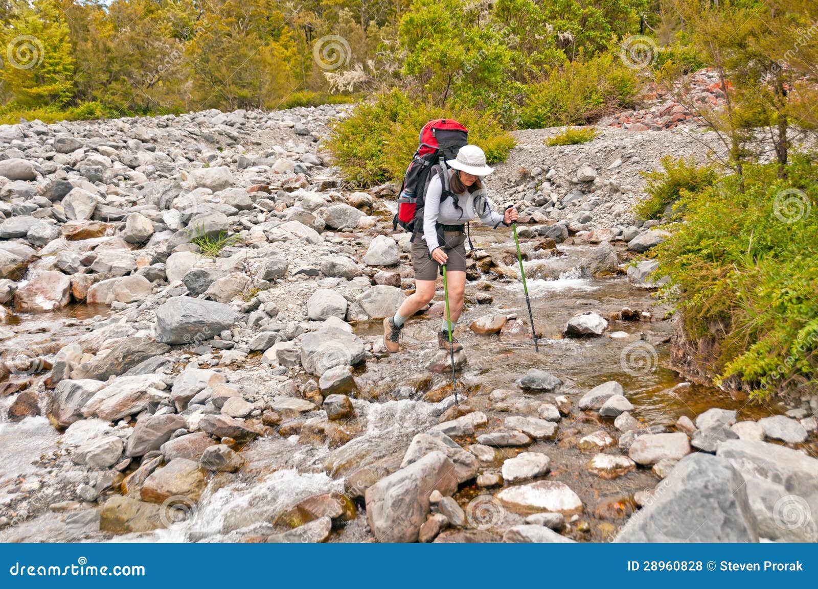 Rock Hopping a Wilderness Creek Stock Photo Image of river