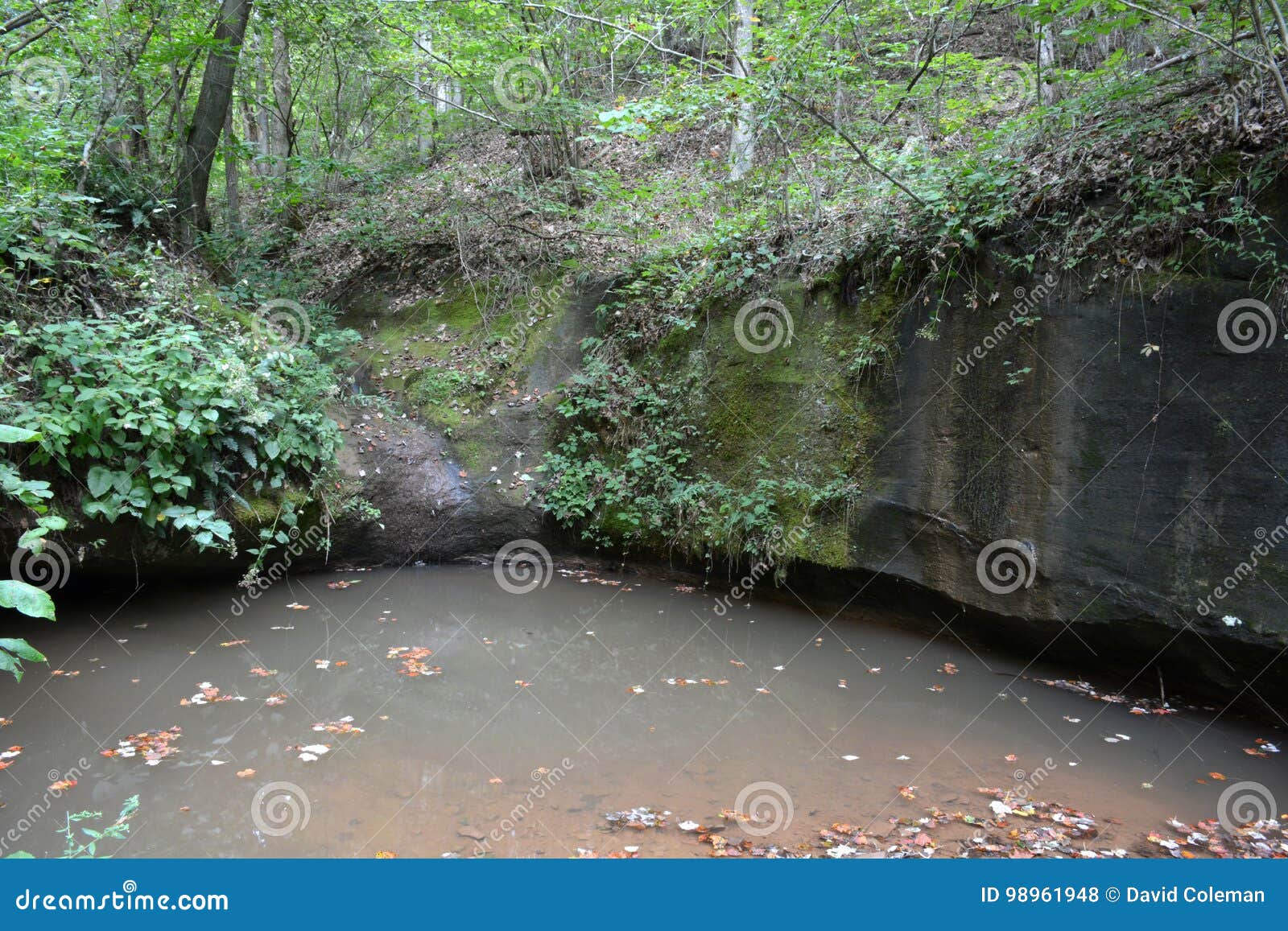 Rock lined pool stock photo. Image of stream, lined, rock - 98961948