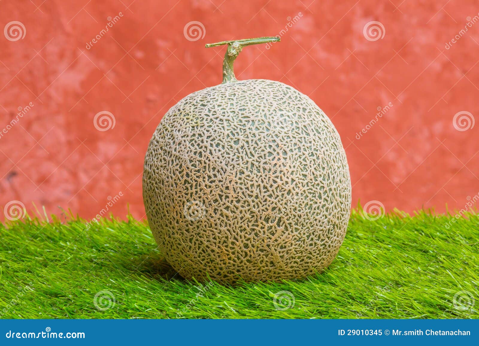 Rock melon stock image. Image of pattern, japanese, green 29010345