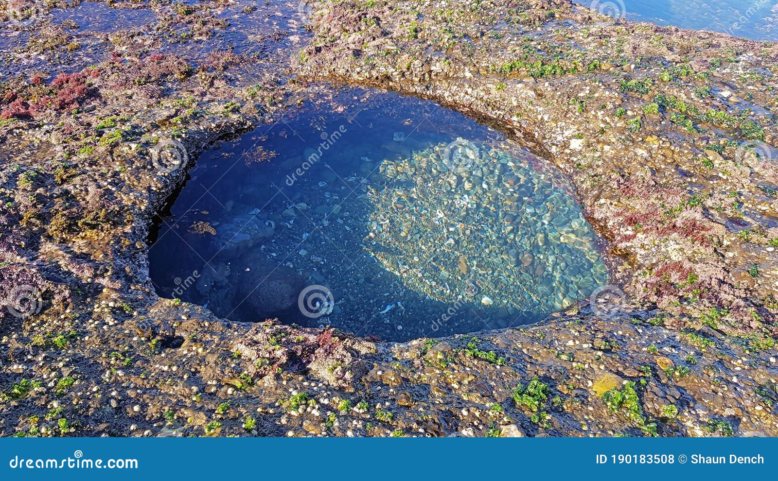 rock pool on bongon beach australia