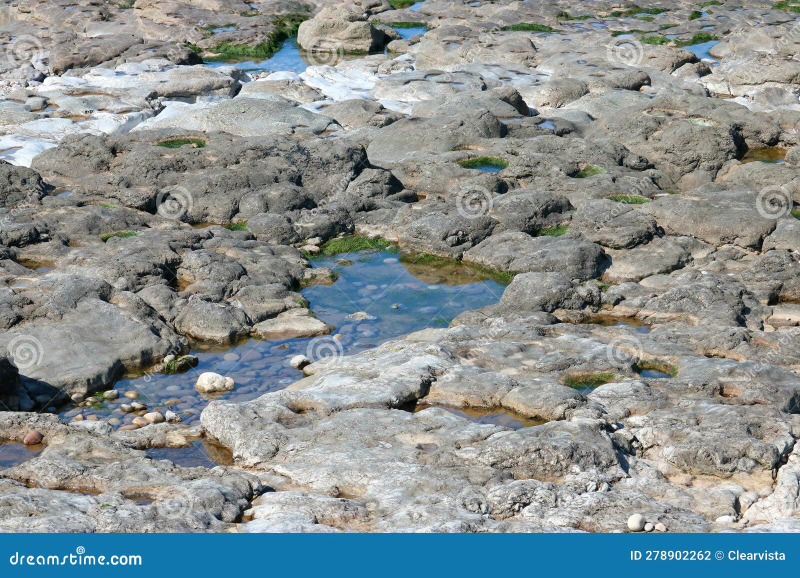 rock pool in rocks by the sea at porthcawl, wales.