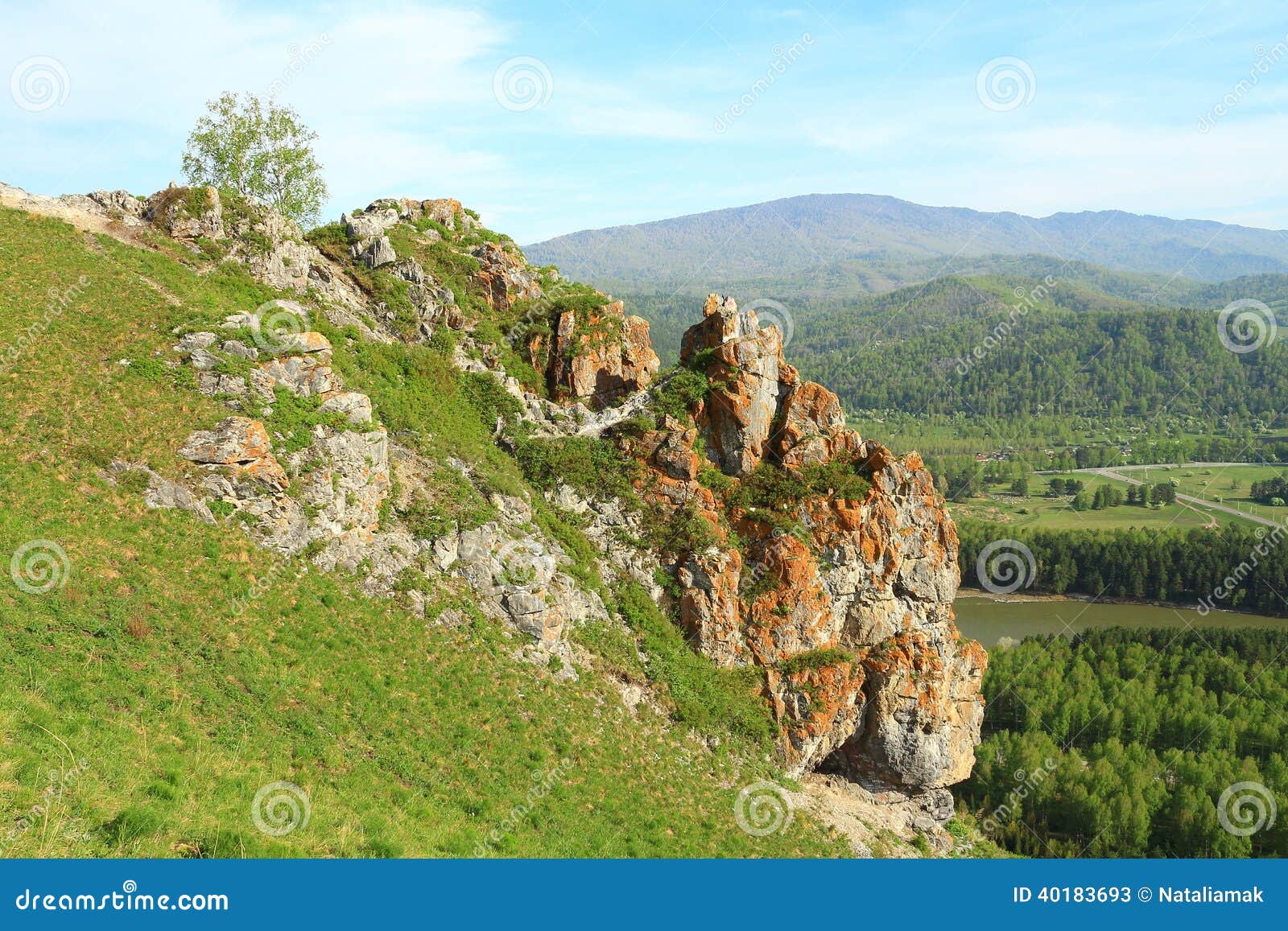 Rock stock image. Image of wood, copy, nature, spring 40183693