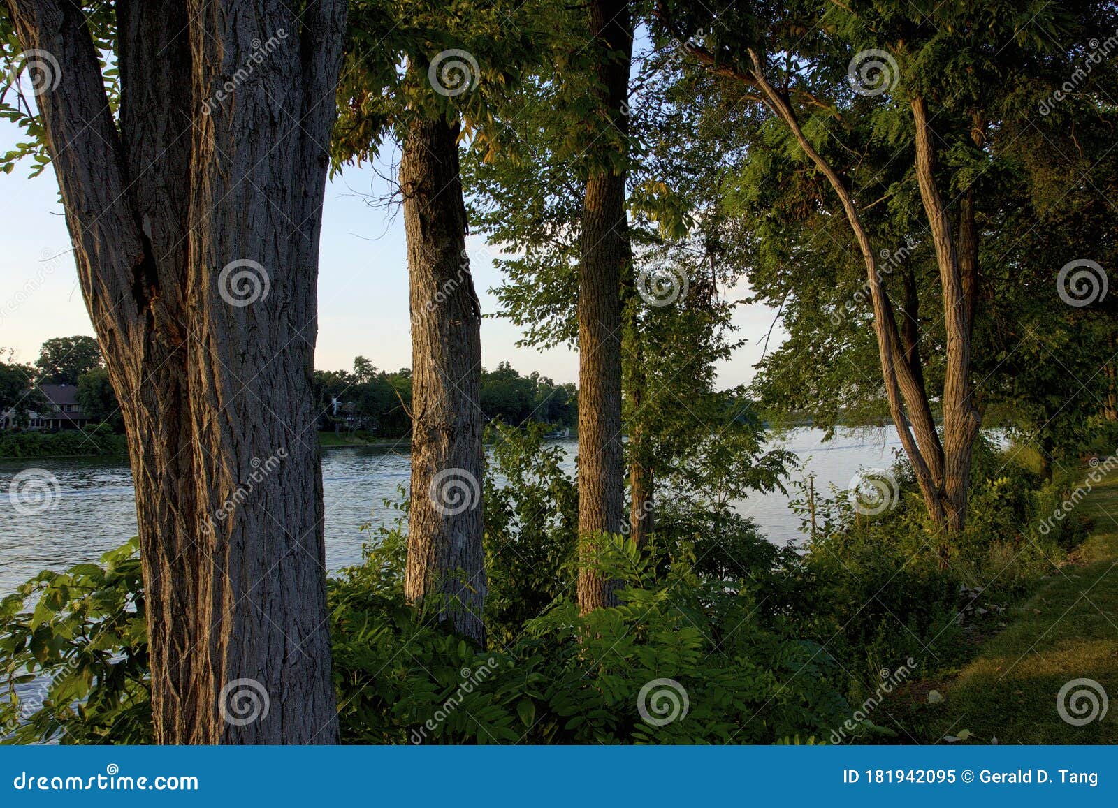 Rock River in Rockford 823182 Stock Image Image of scenic, banks