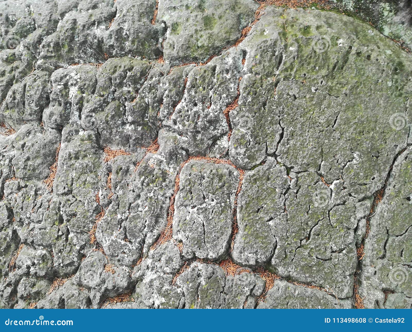 rock rough texture lichen smooth forms