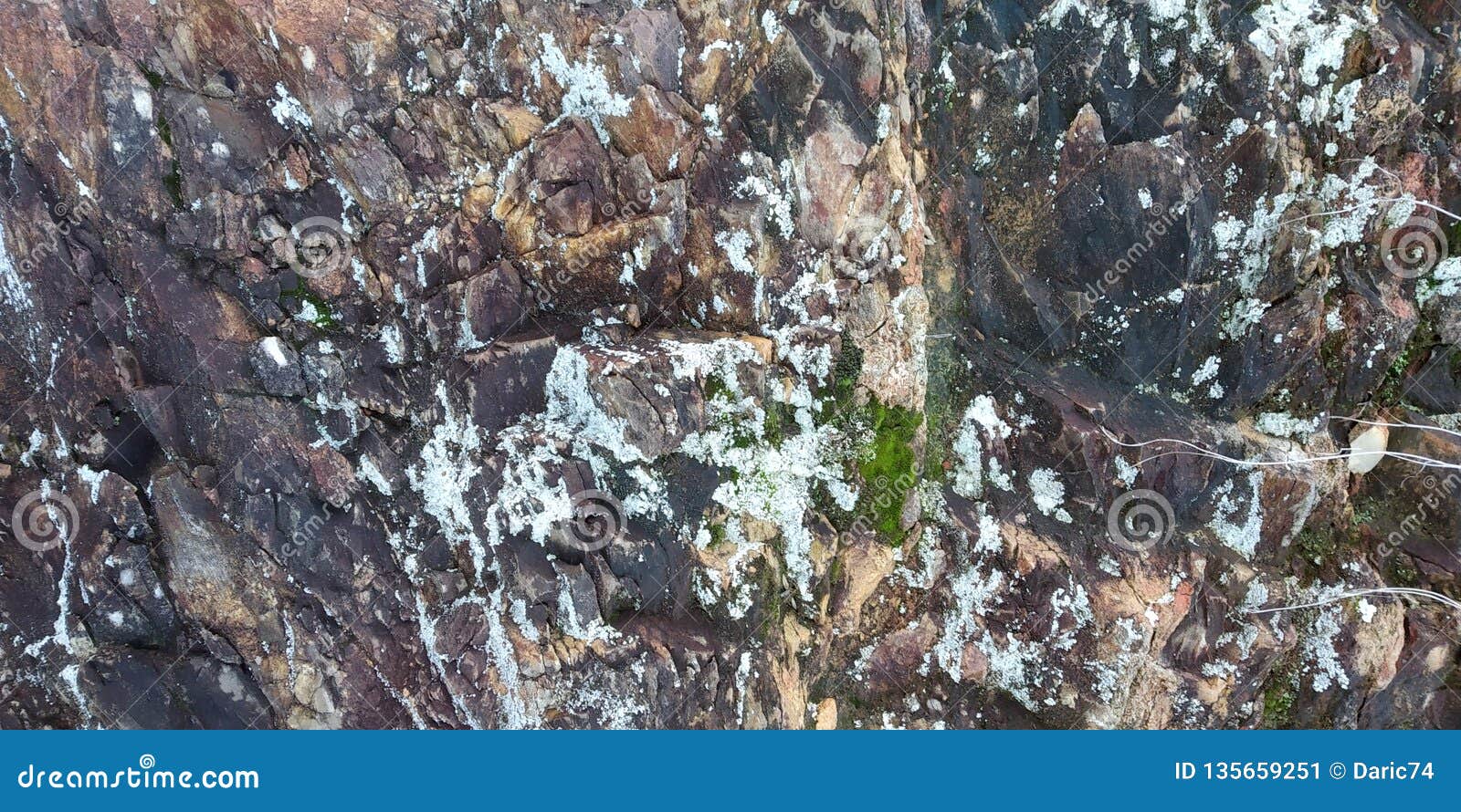 rock texture with fungi