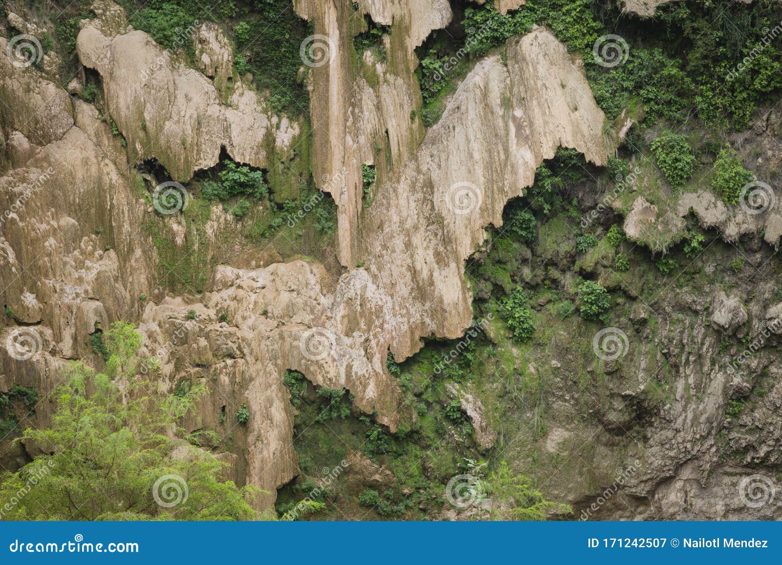 rock texture with moss, green and ground