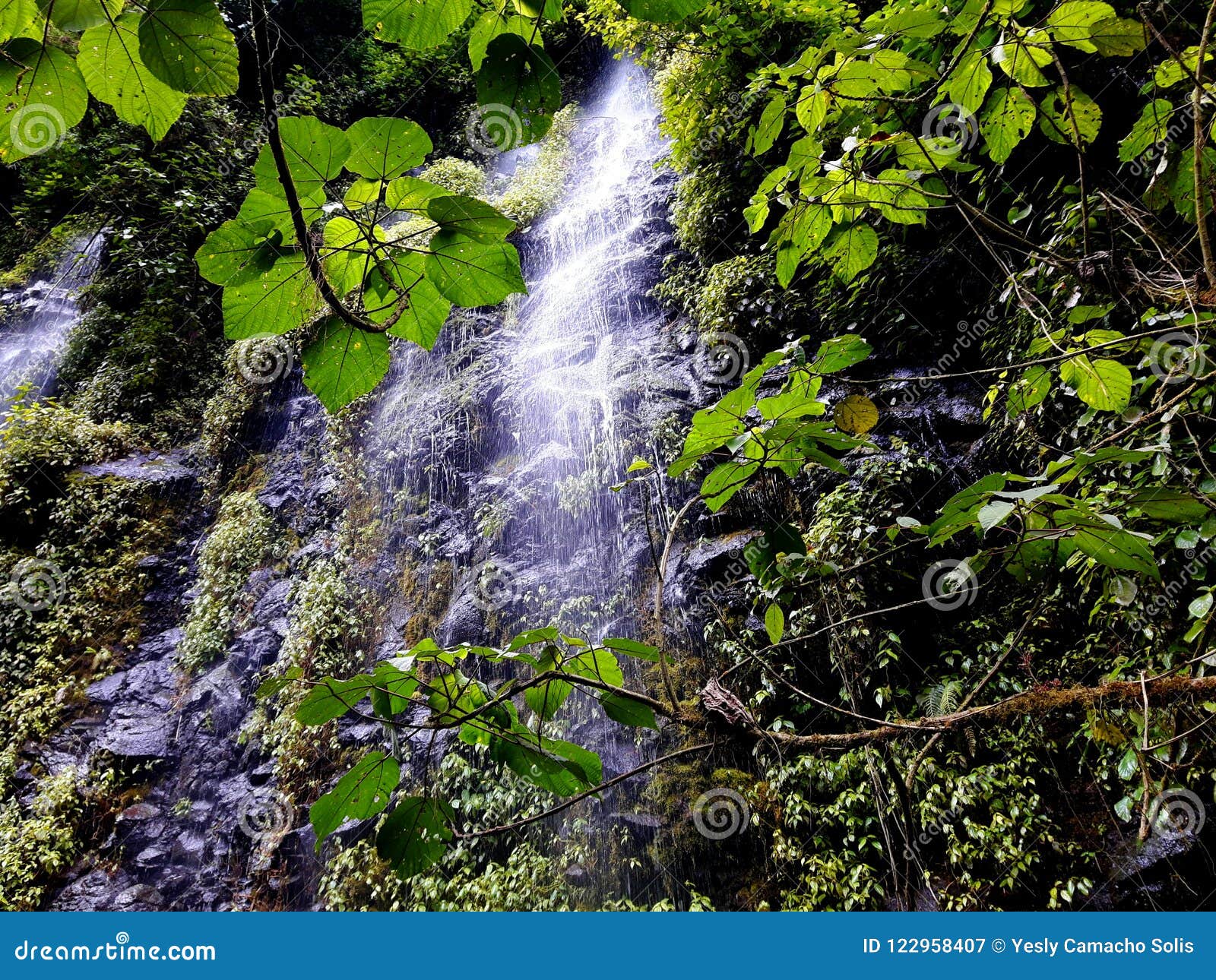 waterfall and vegetation, `avance` costa rica