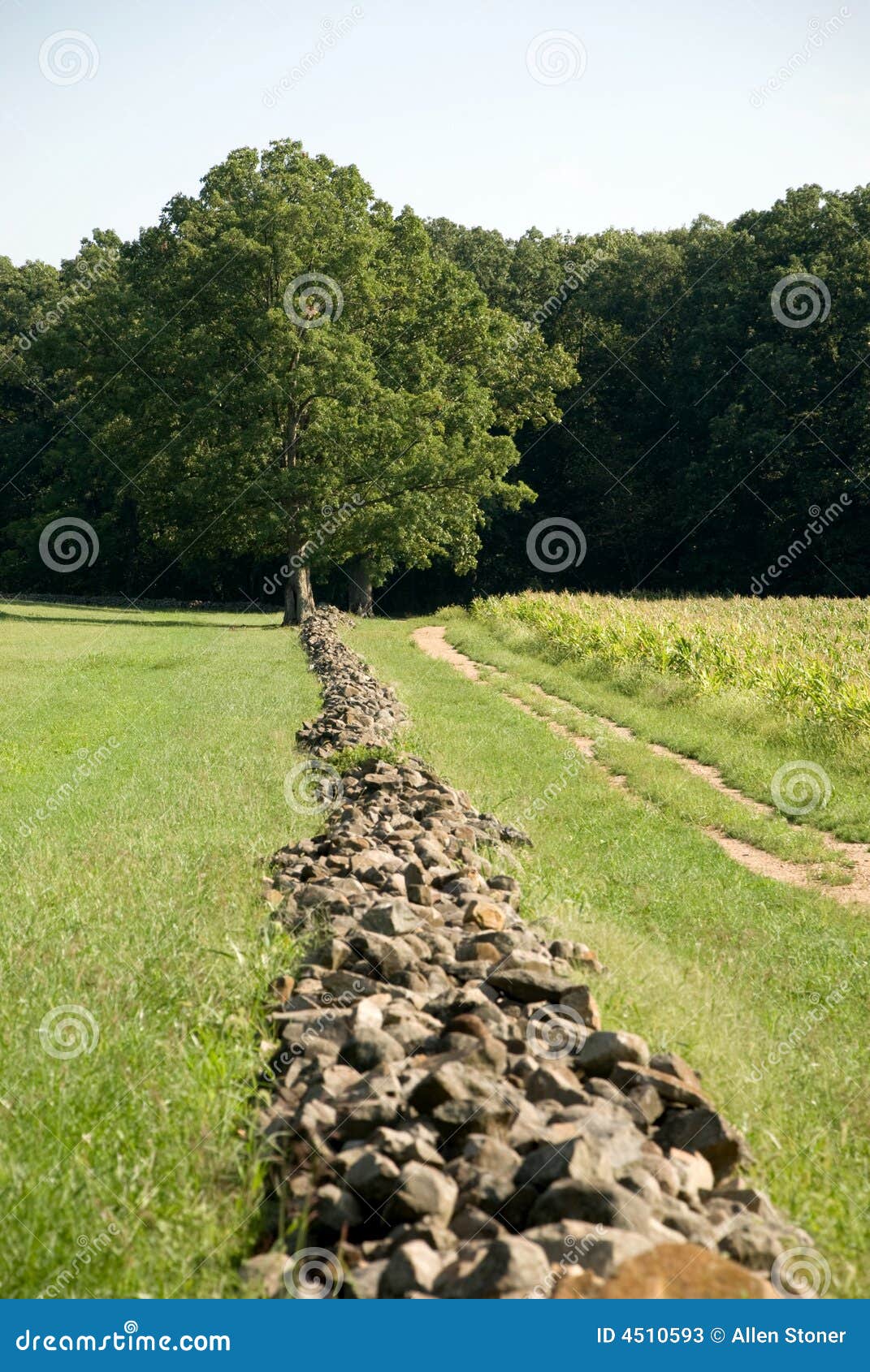 Rock Wall Running To Distant Tree Stock Image Image of nature, straight 4510593