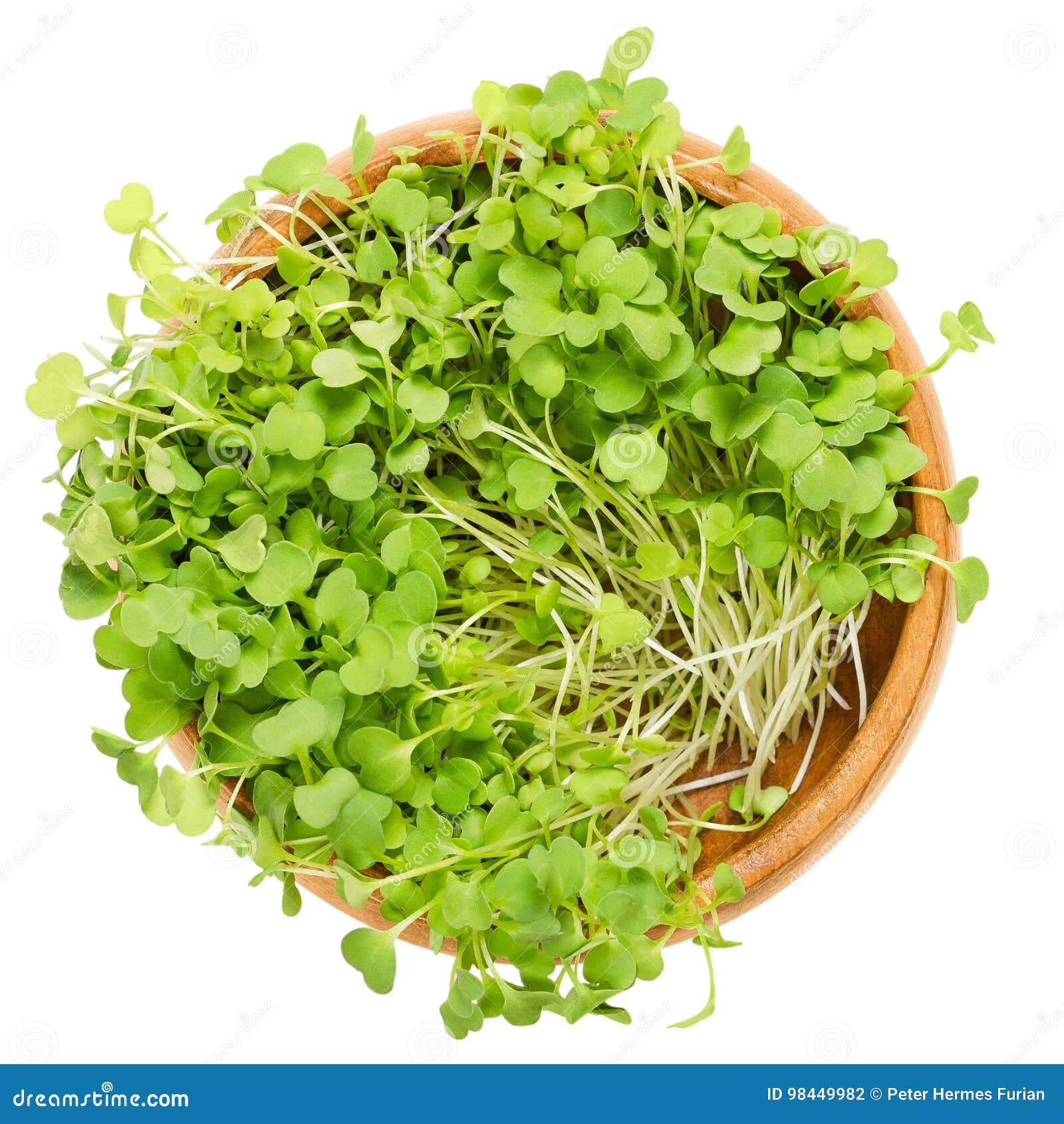 rocket salad sprouts, arugula, in wooden bowl over white