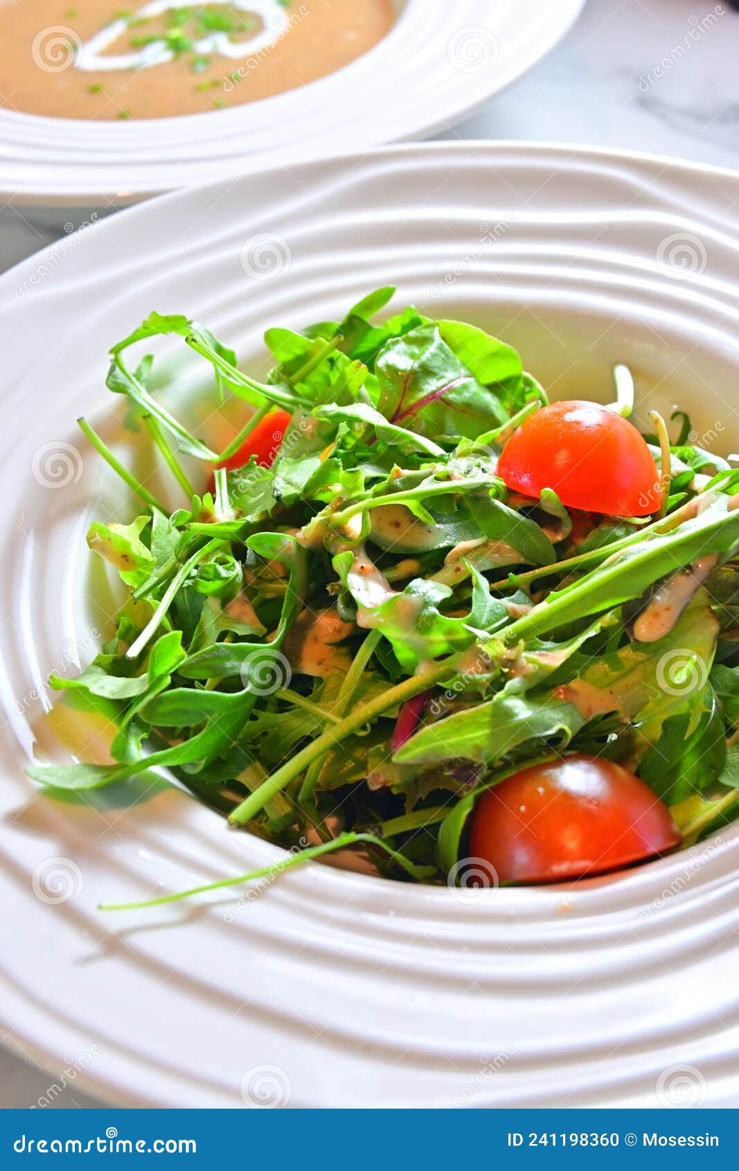 Rocket Tomato Salad Appertizer Stock Photo Image of starter, beans 241198360