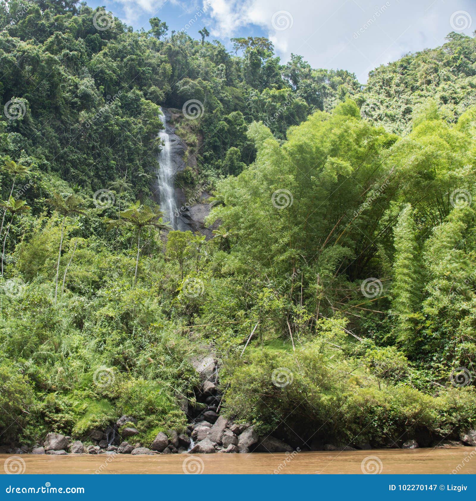 Rockface, тропический лес и водопад Стоковое Изображение - изображение  насчитывающей геология, пропускать: 102270147