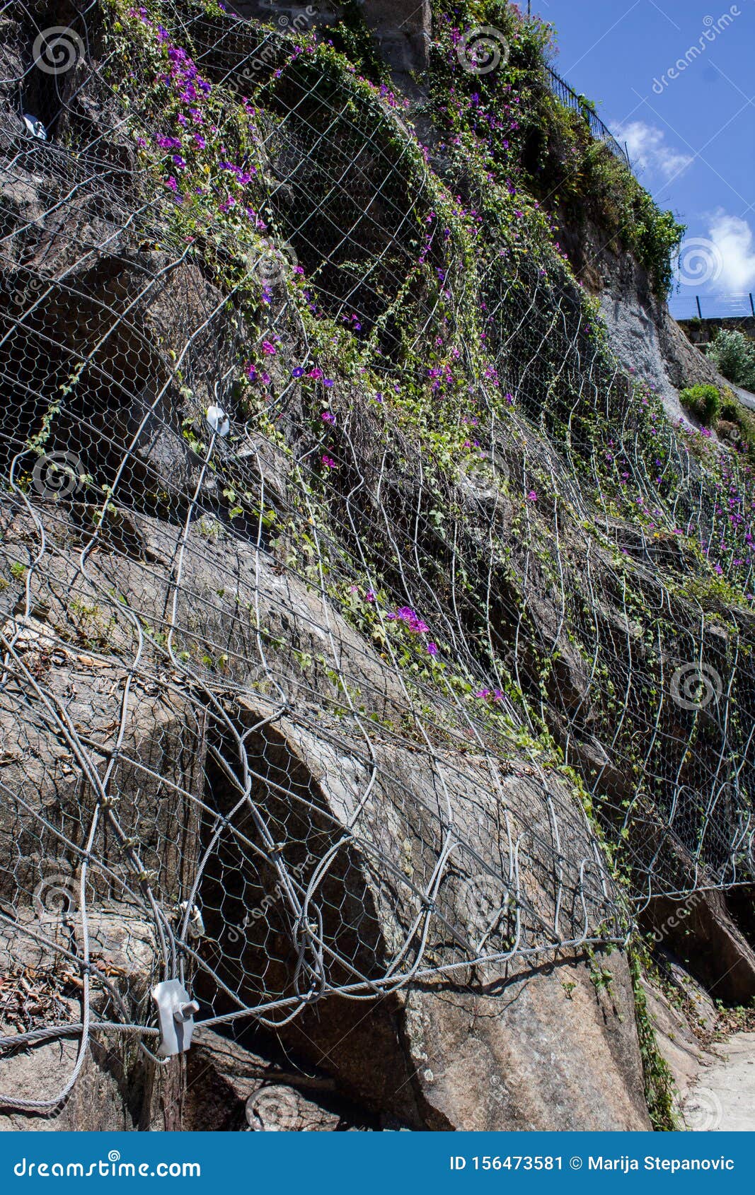 Rockfall Safety Net Covered with Flowers. Steel Grid Over a Rock