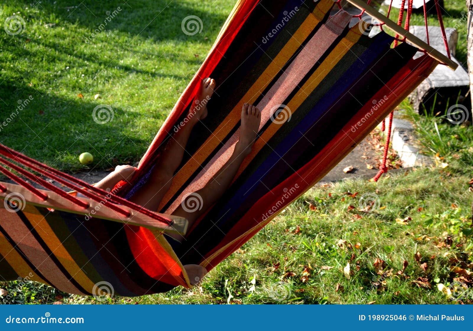 Rocking Chair Hammock With Wooden Support Among The Trees In The Garden View Of Naked Hairy