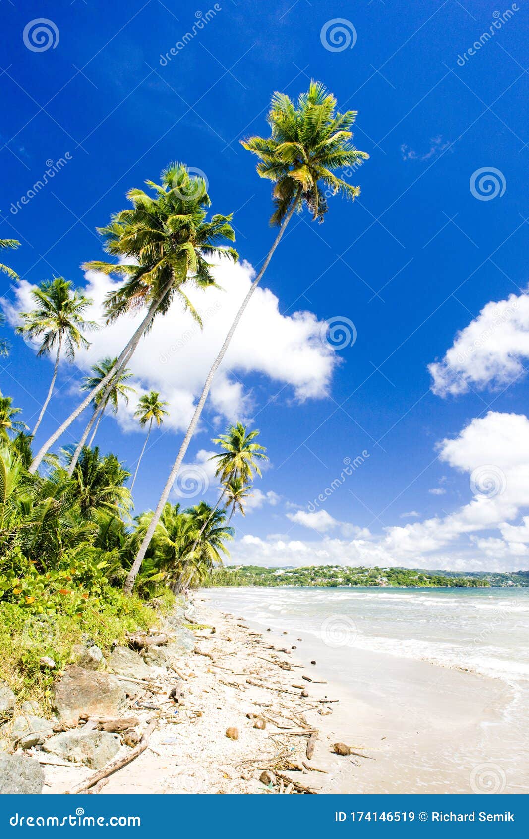 Rockly Bay, Tobago stock image. Image of exteriors, trinidad - 174146519