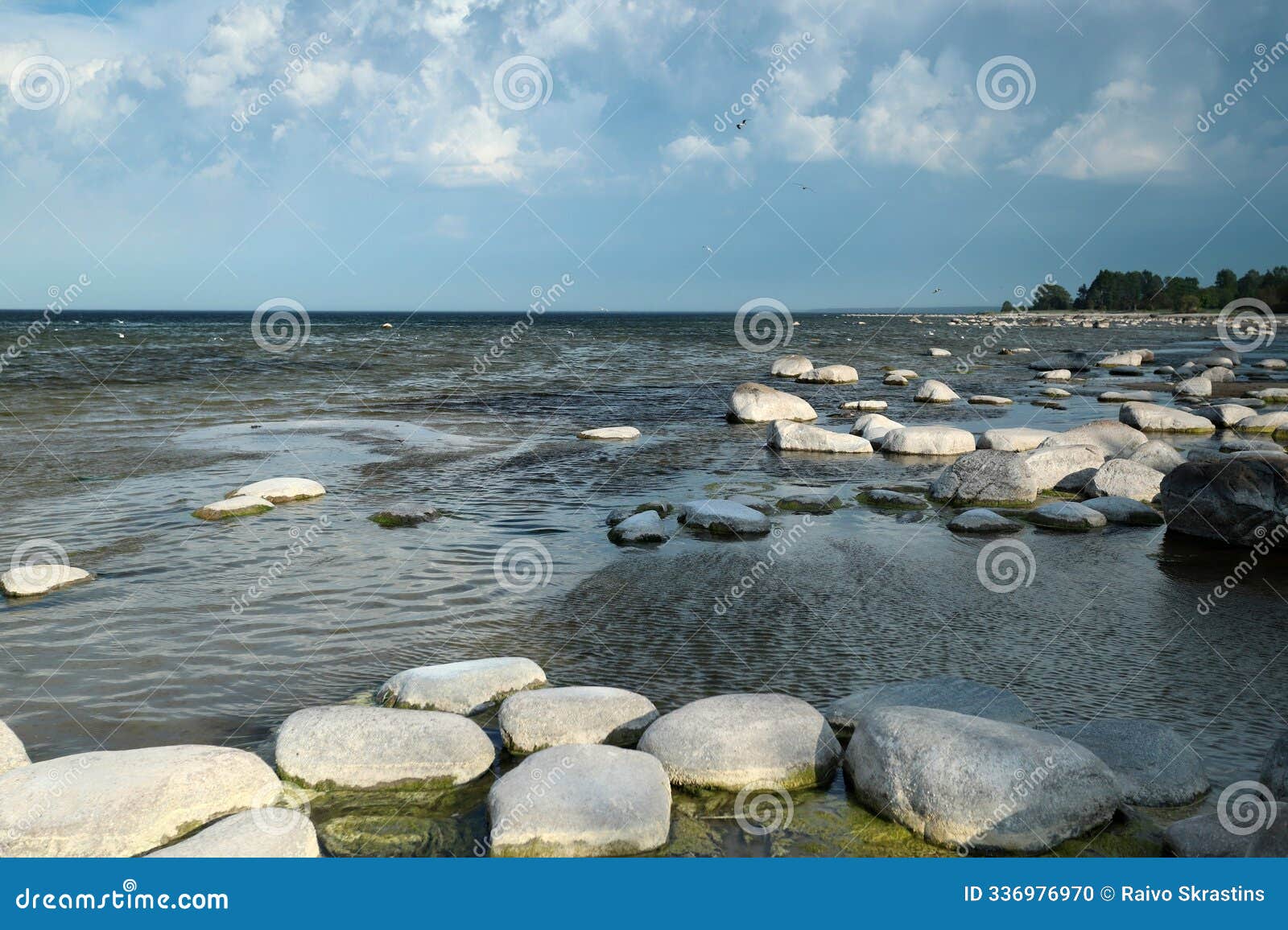rocks on the baltic sea beach kaltene in latvia. it's early in the morning, but the wind is already quite strong.
